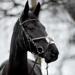 Horze Valencia Mexikanisches Reithalfter