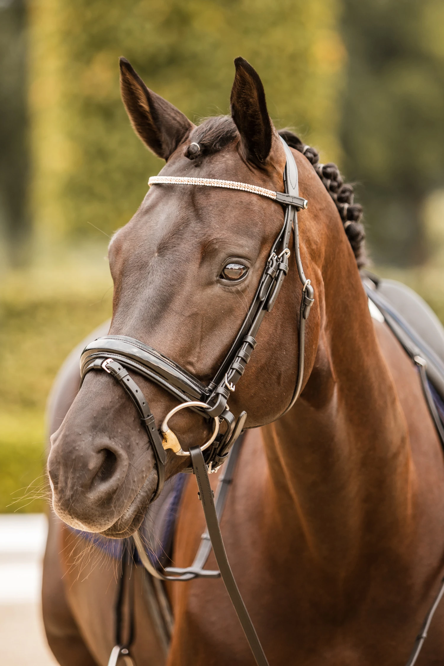 Horze Nancy Stirnriemen Mit Kristallen Und Flechtdetail – Bild 4