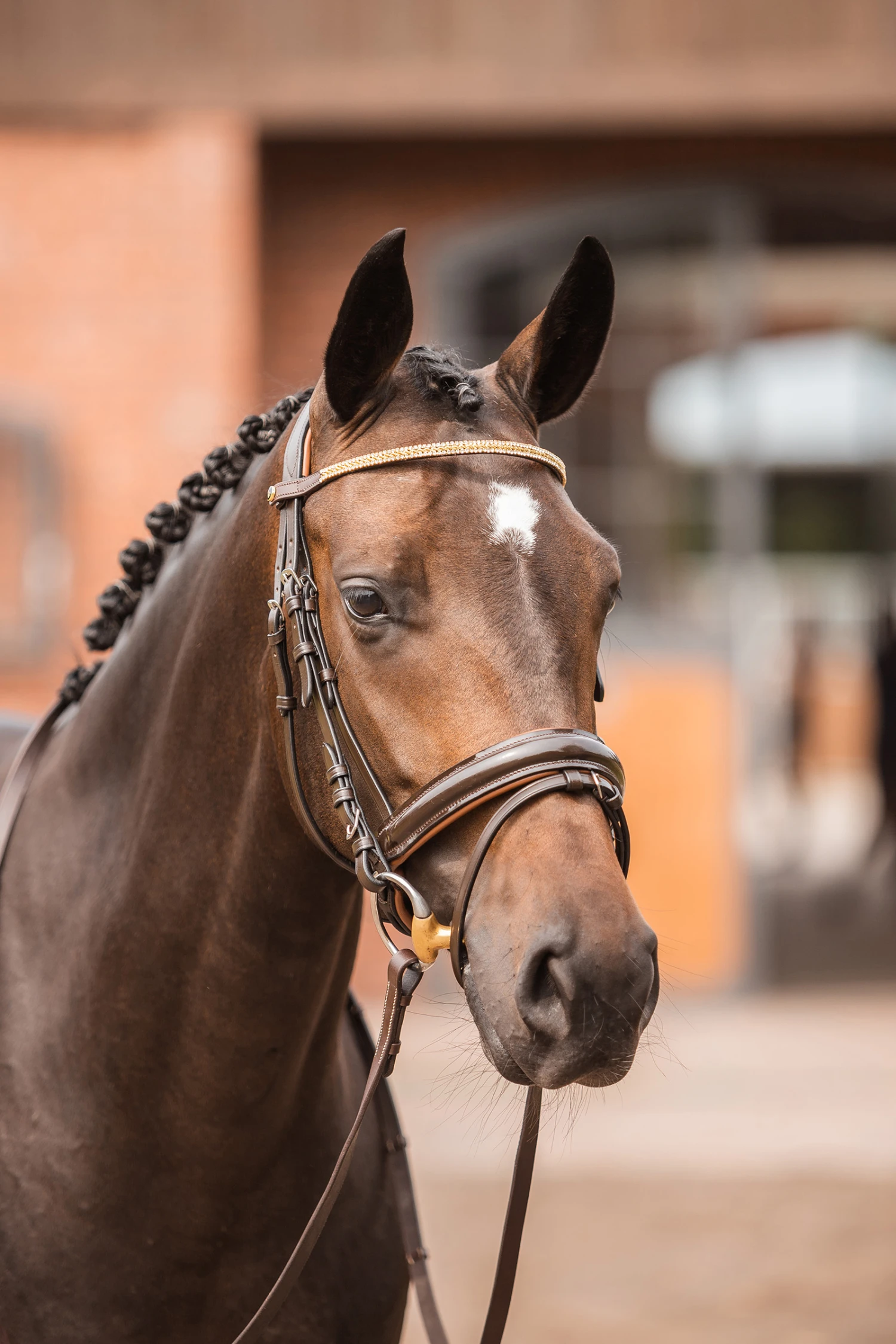 Horze Nancy Stirnriemen Mit Kristallen Und Flechtdetail – Bild 11