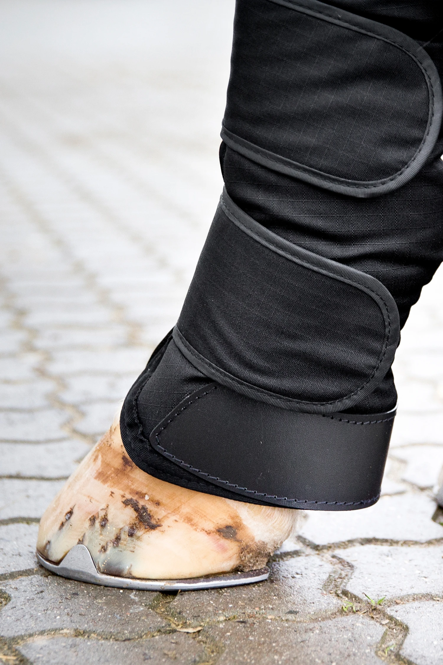 Horze Transportgamaschen – Bild 4