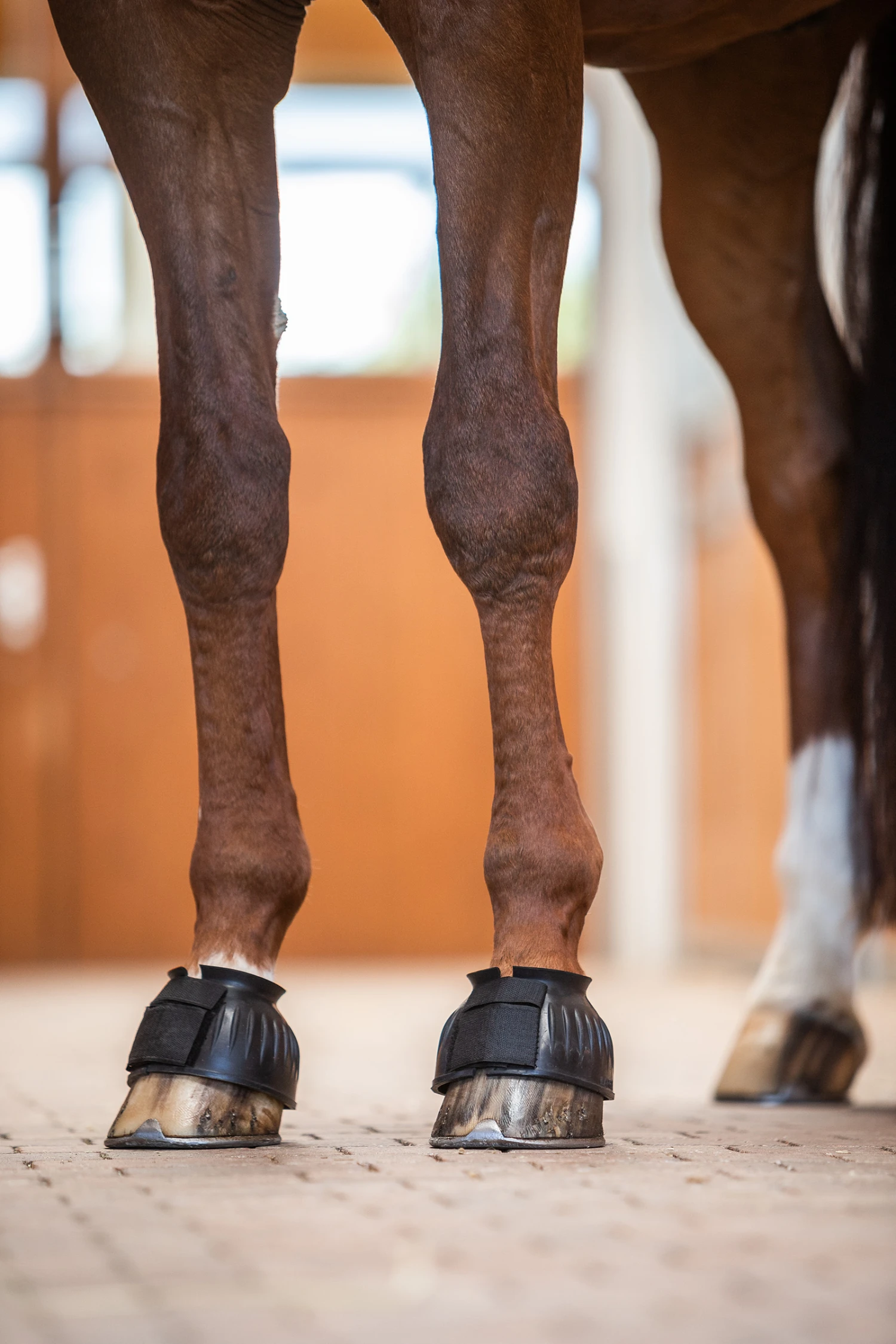 Horze Hufglocken Mit Verdrehsicherung – Bild 4