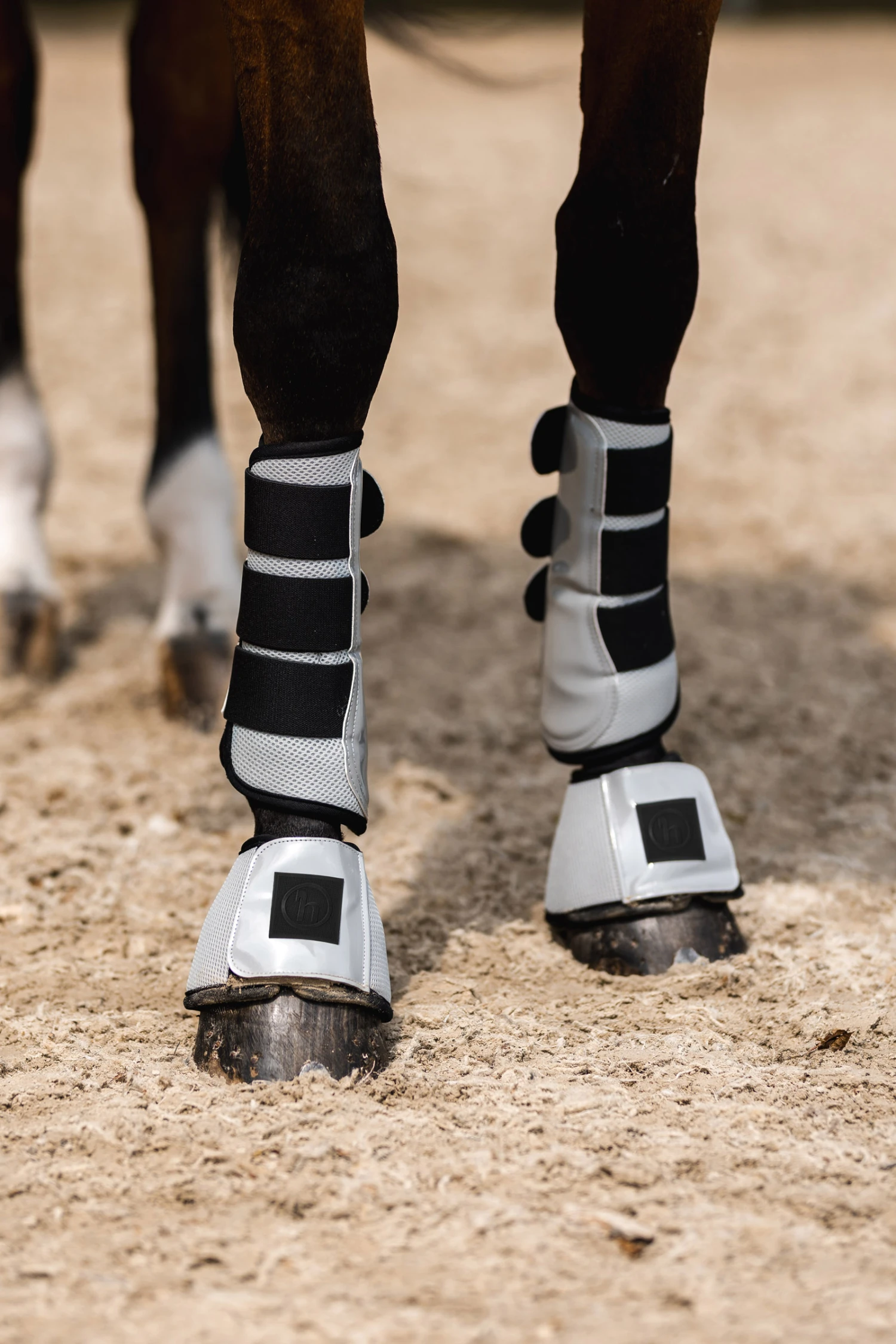 Horze Smoky Twilight Hufglocken – Bild 12