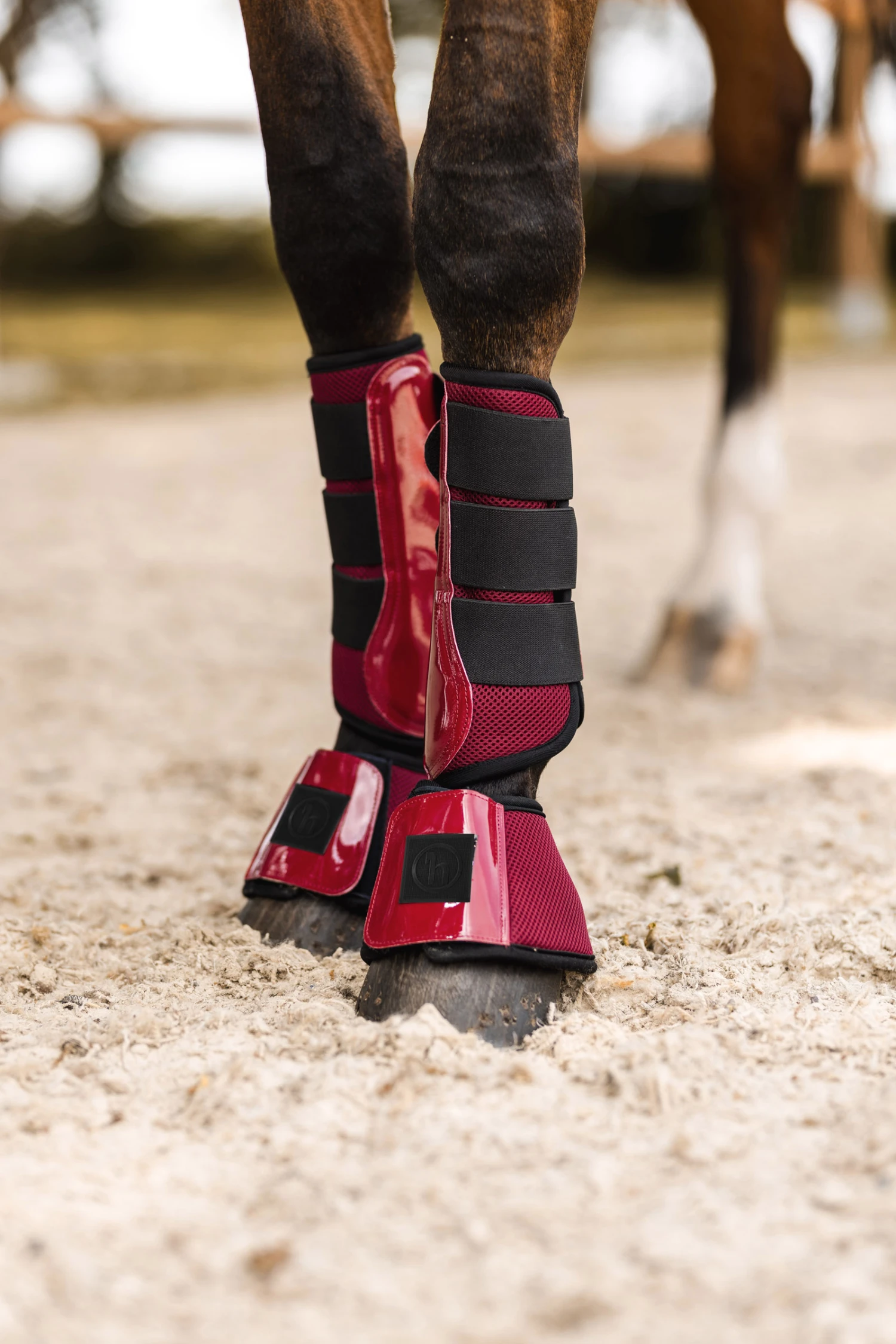 Horze Smoky Twilight Hufglocken – Bild 6