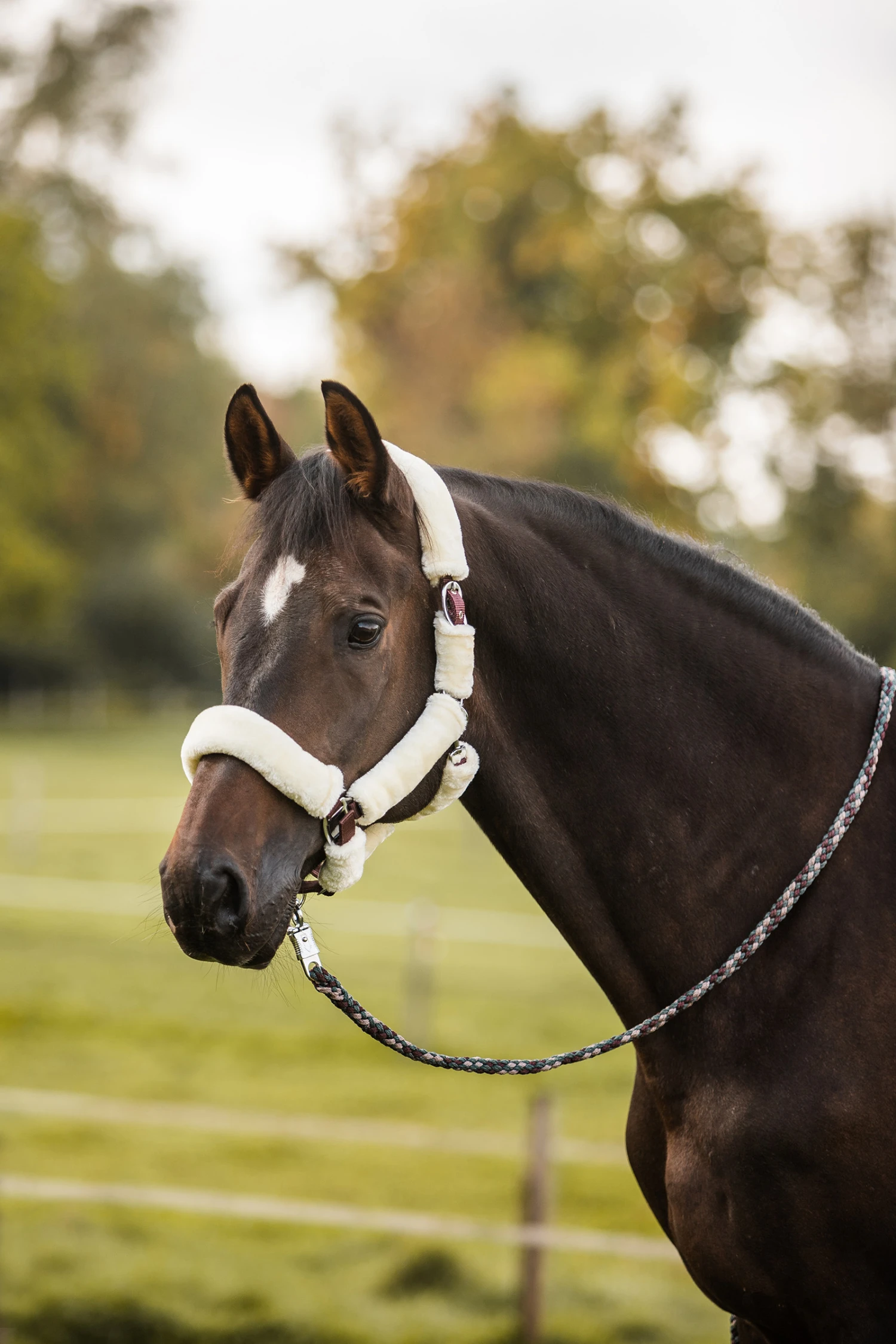 Horze Leighton Teens Collection Halfter Mit Kunstfell – Bild 4