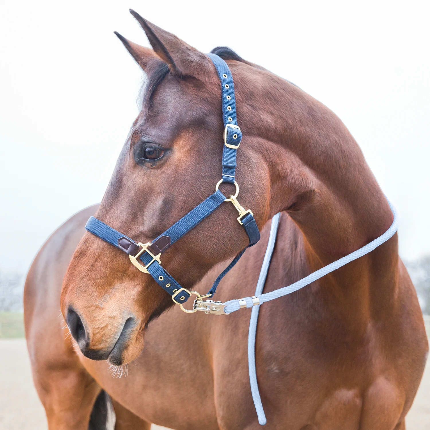 Horze Führstrick, Panikhaken – Bild 7