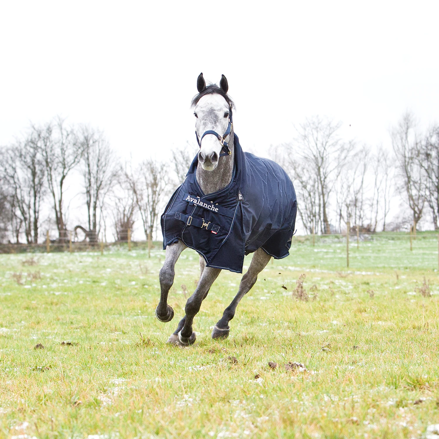 Horze Avalanche 1200D Regendecke Mit Hohem Hals Und Fleecefütterung – Bild 12