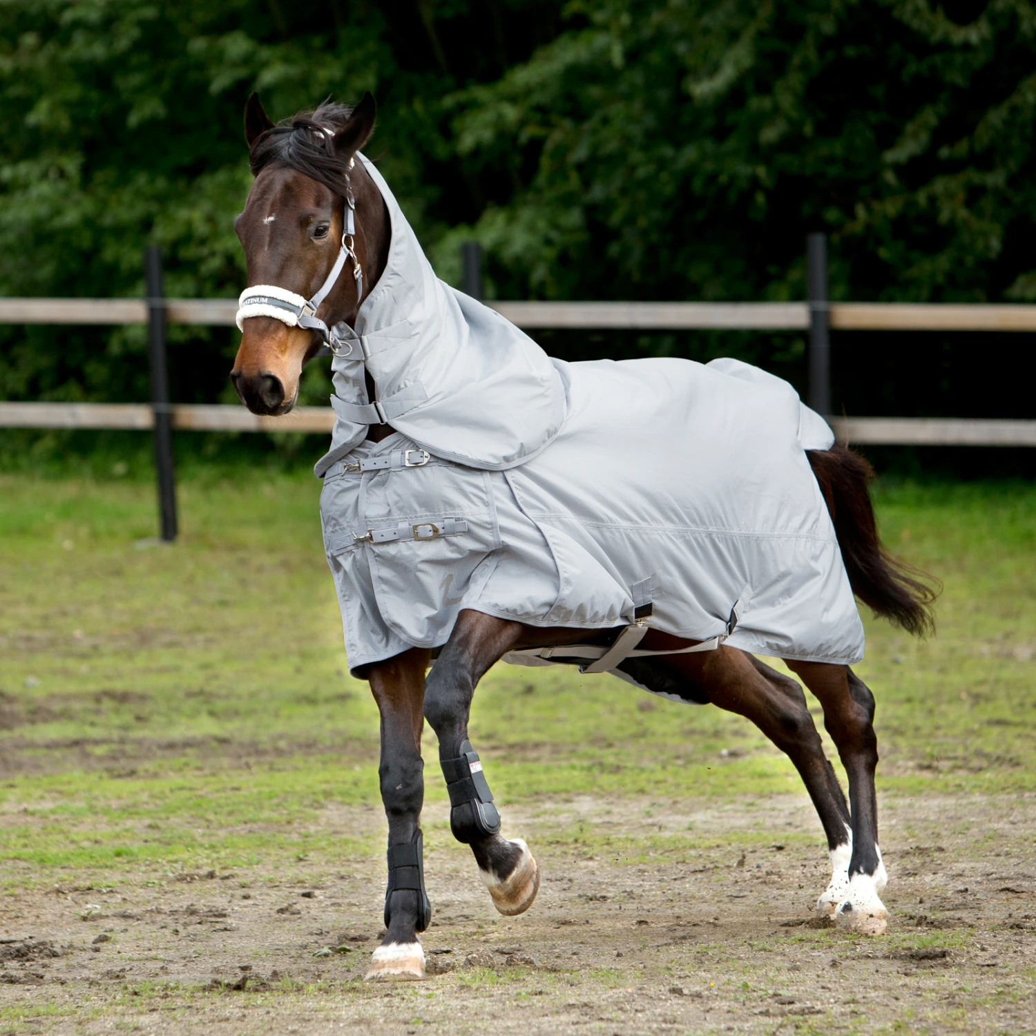 Horze Nevada 600D Regendecke, 0g – Bild 7