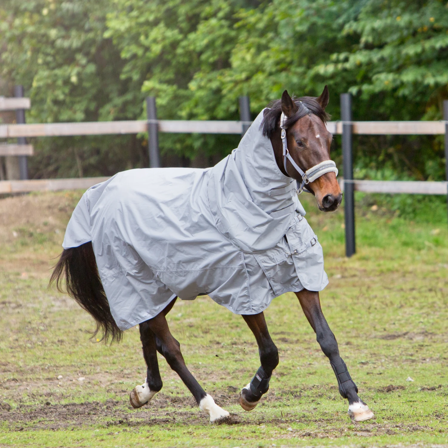 Horze Nevada 600D Regendecke, 0g – Bild 8