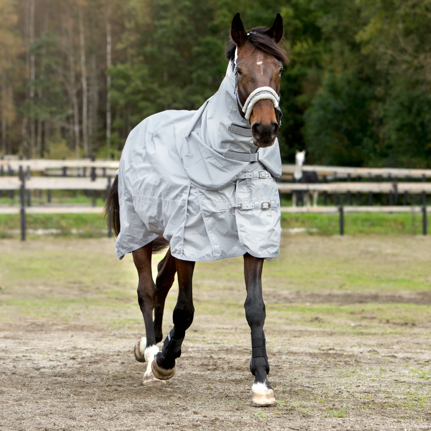 Horze Nevada 600D Regendecke, 0g – Bild 9