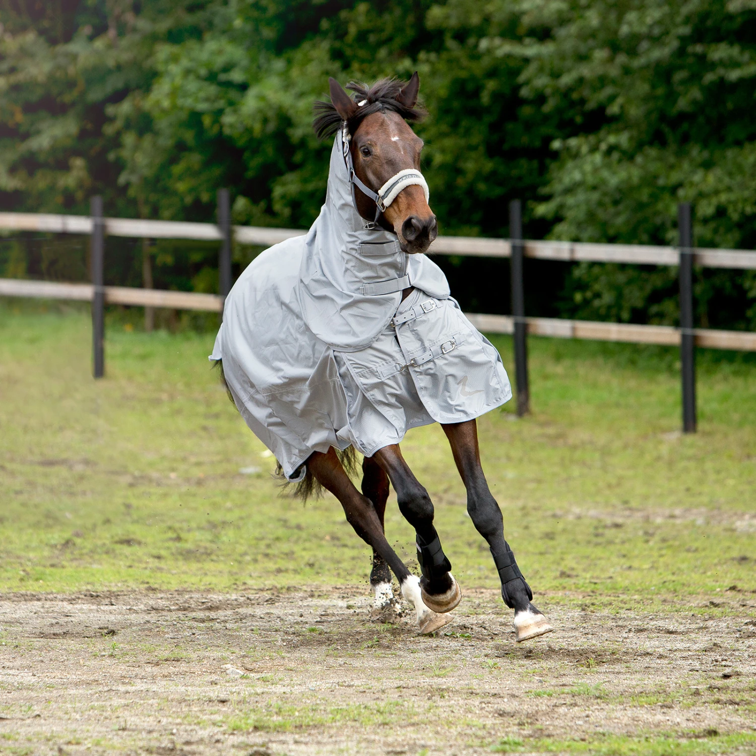 Horze Nevada 600D Regendecke, 0g – Bild 10