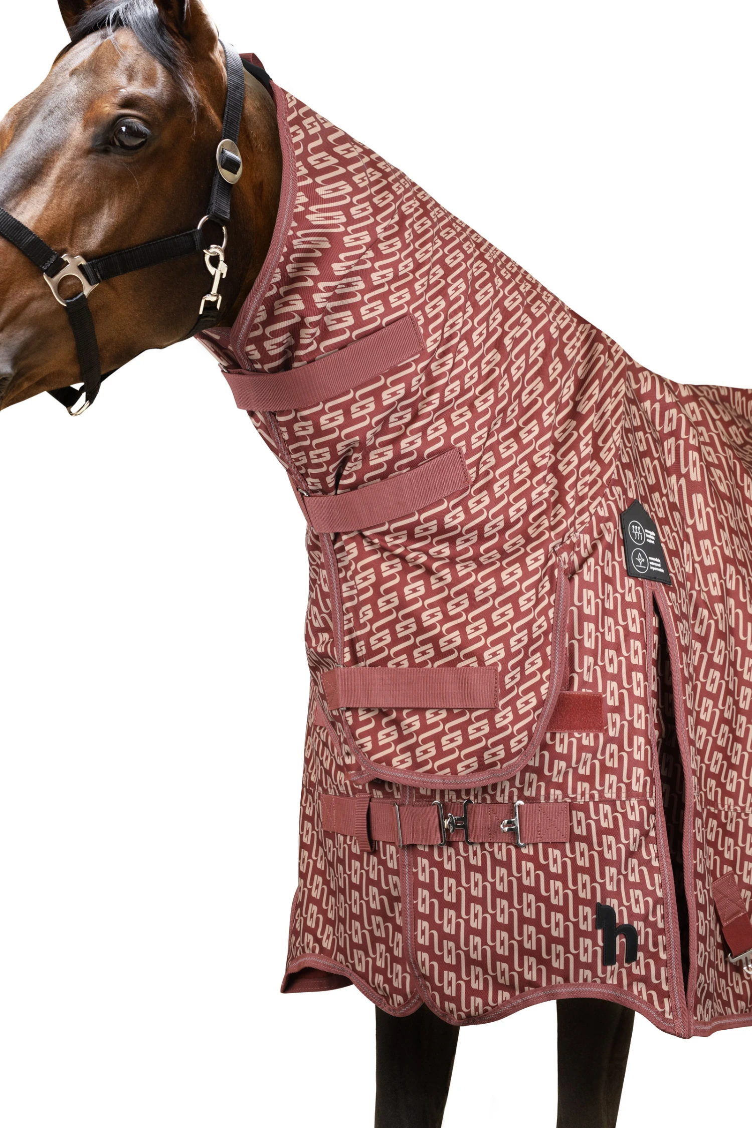 Horze Avalanche Weidedecke Mit Festem Halsteil, 150g – Bild 2