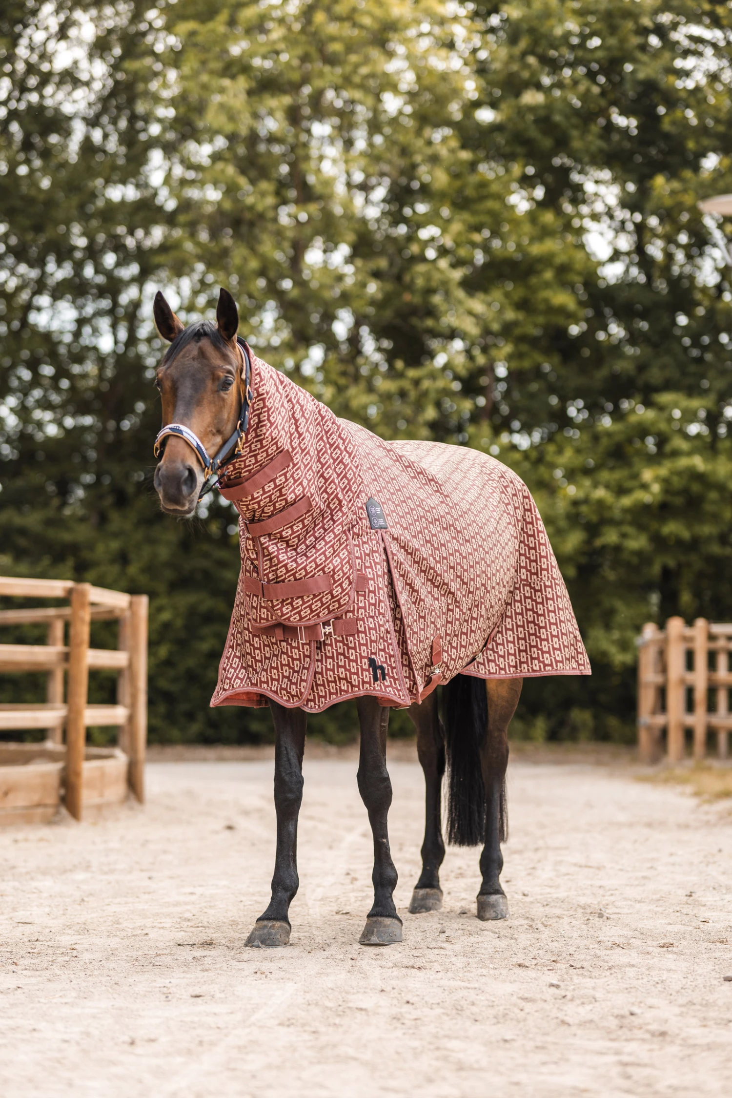 Horze Avalanche Weidedecke Mit Festem Halsteil, 150g – Bild 7