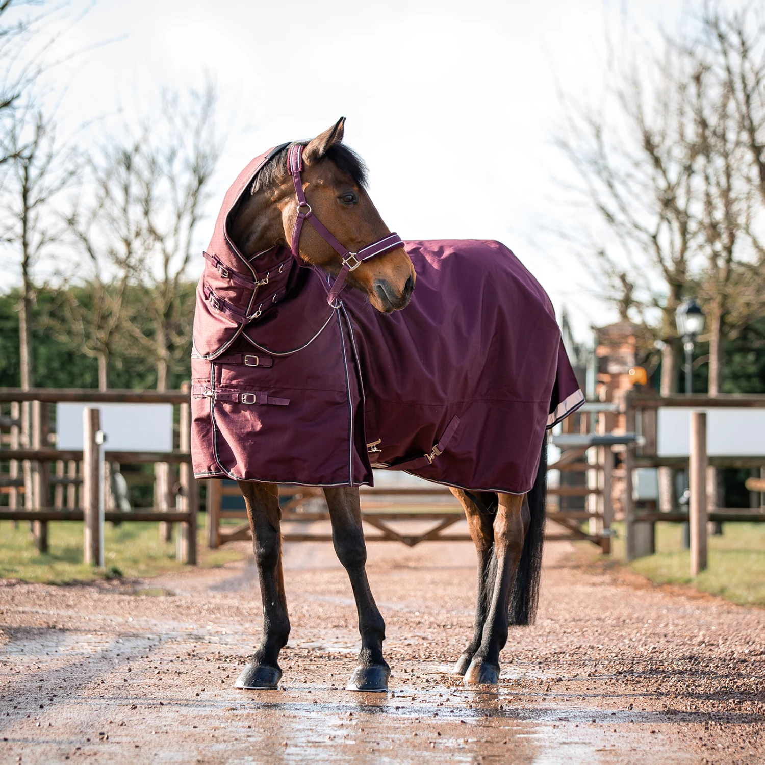 B Vertigo Georgina Weidedecke Mit Abnehmbarem Halsteil, 250g – Bild 12