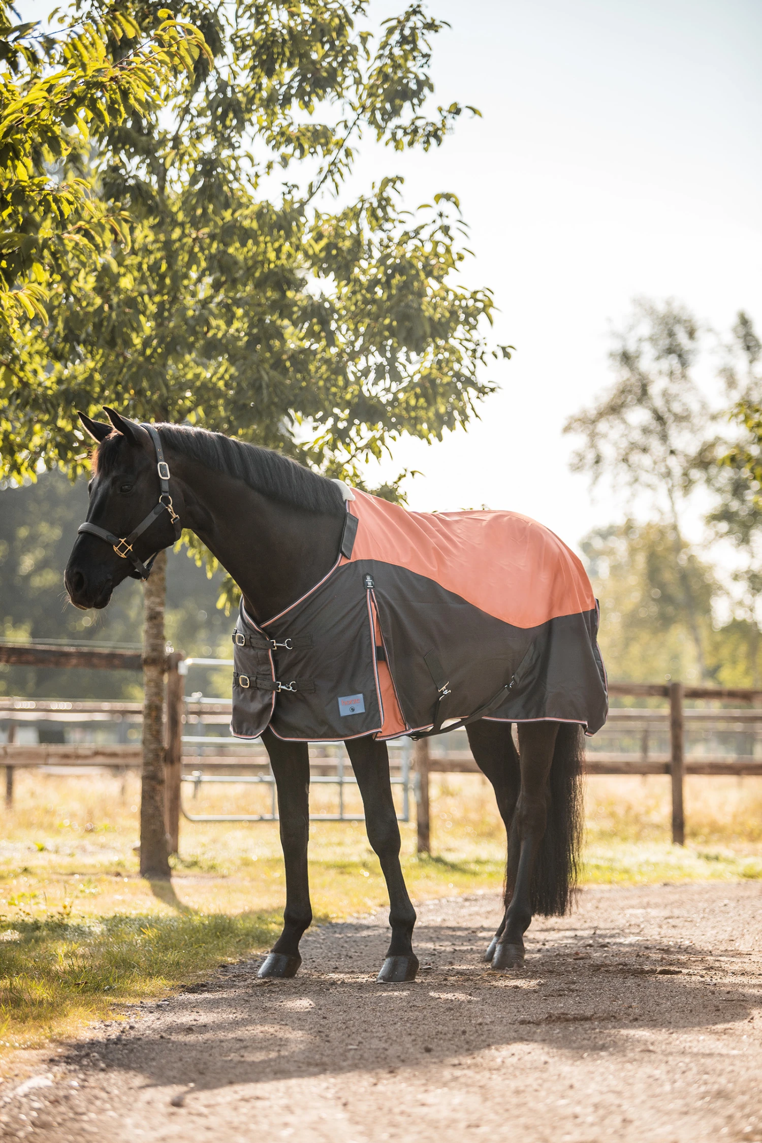 Horze Lucerne Regendecke, 150g – Bild 4