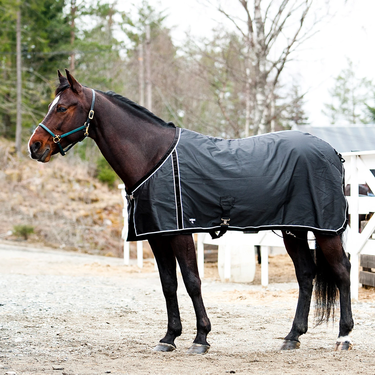 FT Sommerdecke, Enstex – Bild 16