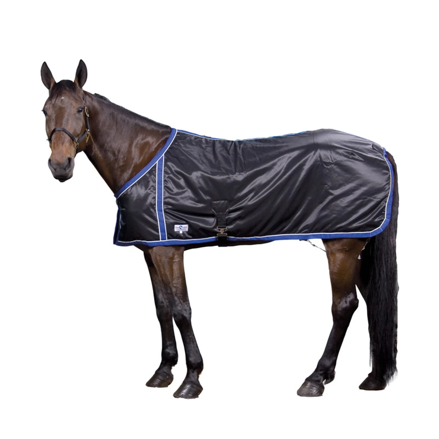 FT Sommerdecke, Enstex – Bild 5