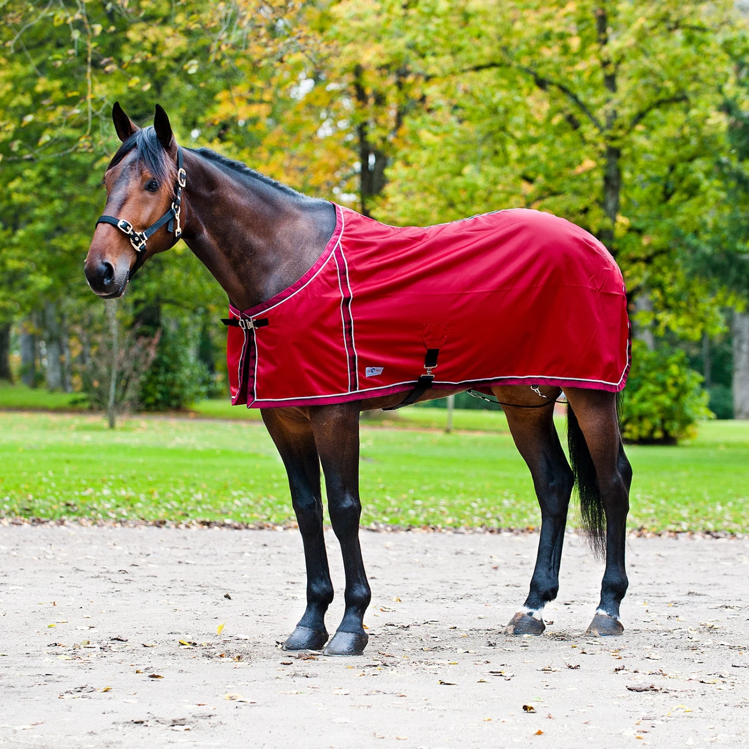 FT Sommerdecke, Enstex – Bild 10