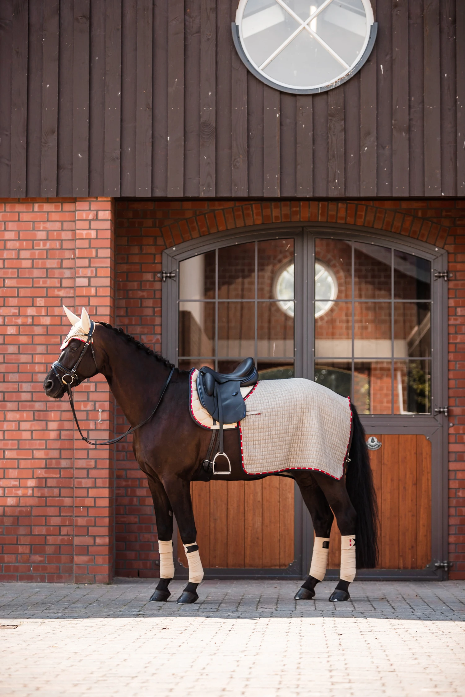 B Vertigo Amory Nierendecke – Bild 3