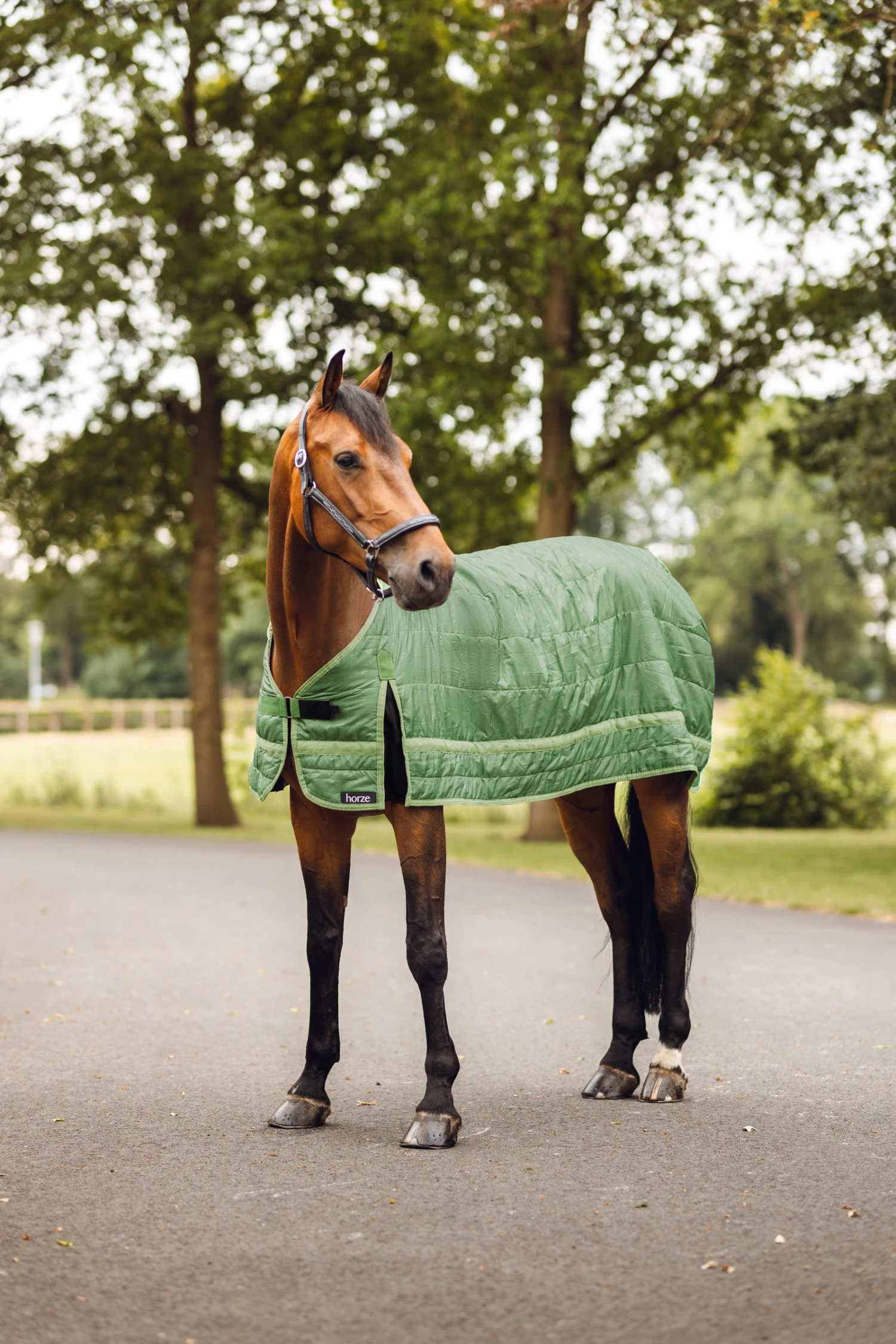 Horze Quebec Fleece Liner, 100g – Bild 7