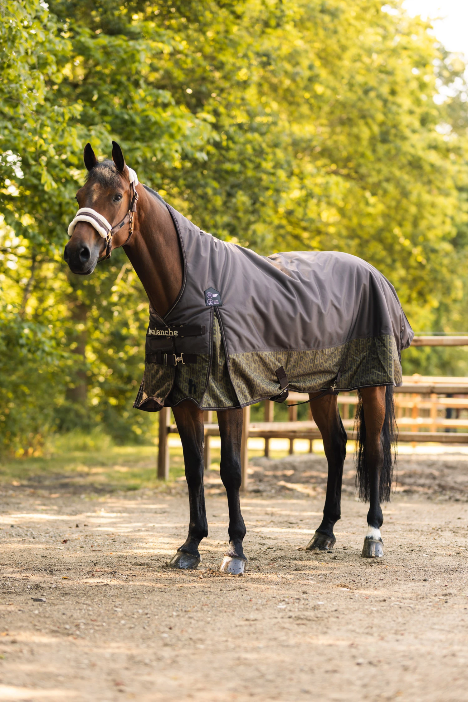 Horze Avalanche 1200D Winterdecke Mit Hohem Hals, 300g – Bild 8