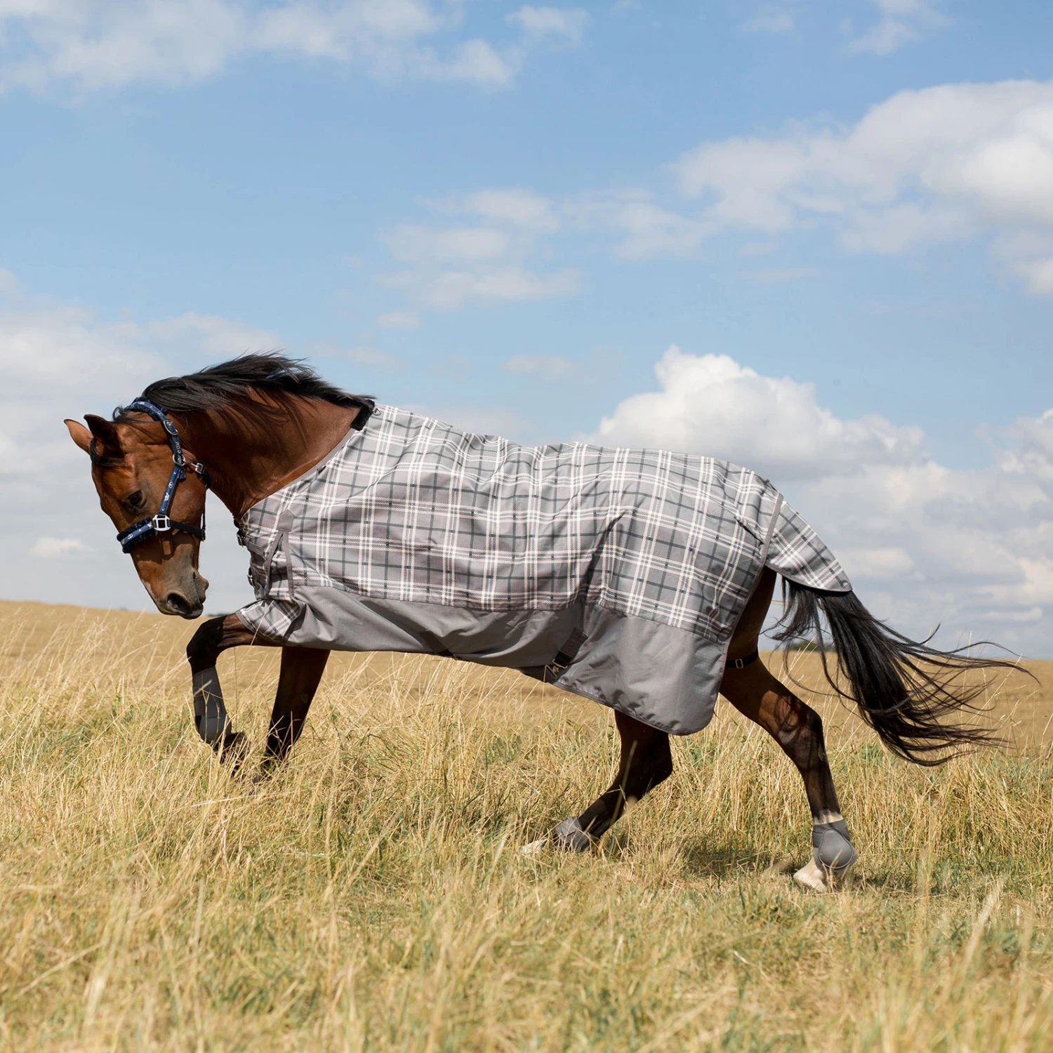 Horze Nevada Regendecke – Bild 10