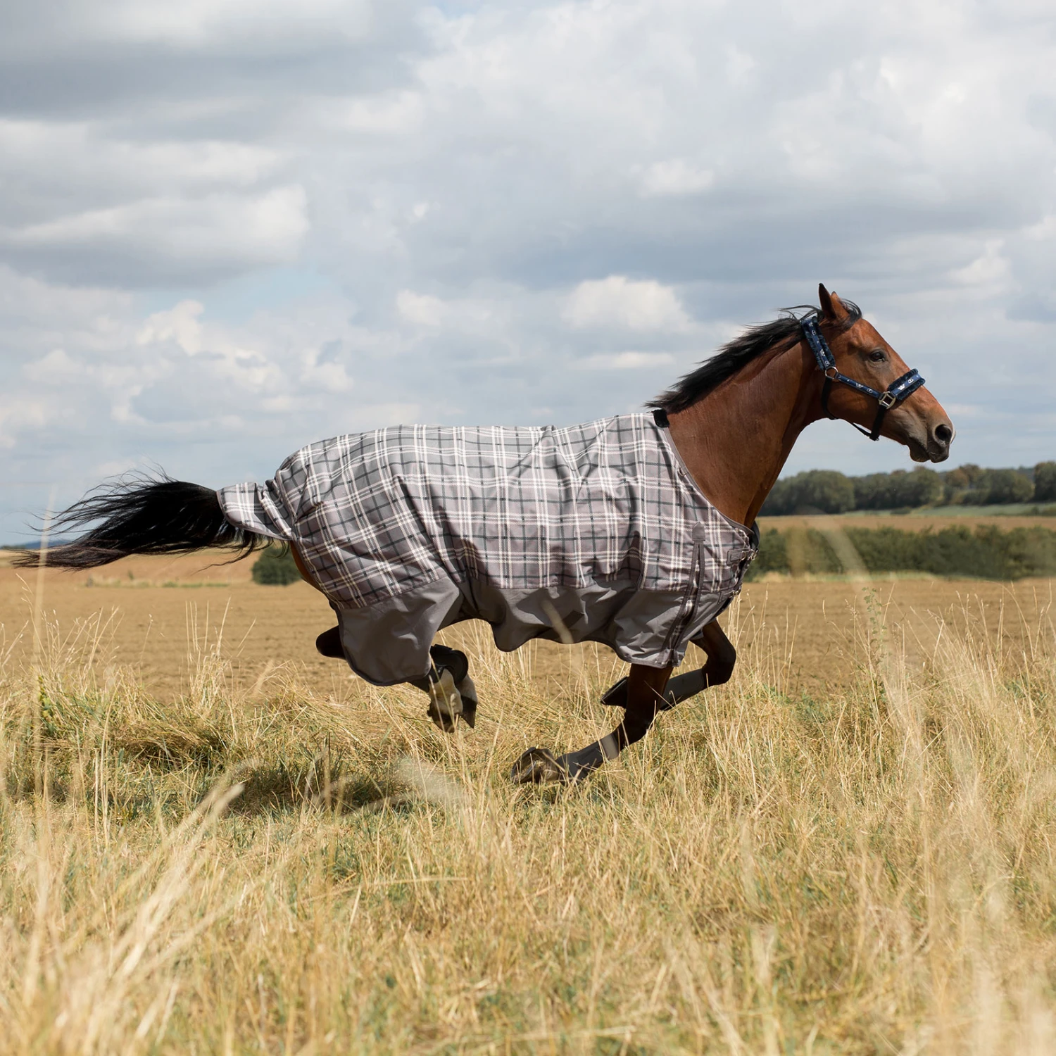 Horze Nevada Regendecke – Bild 11