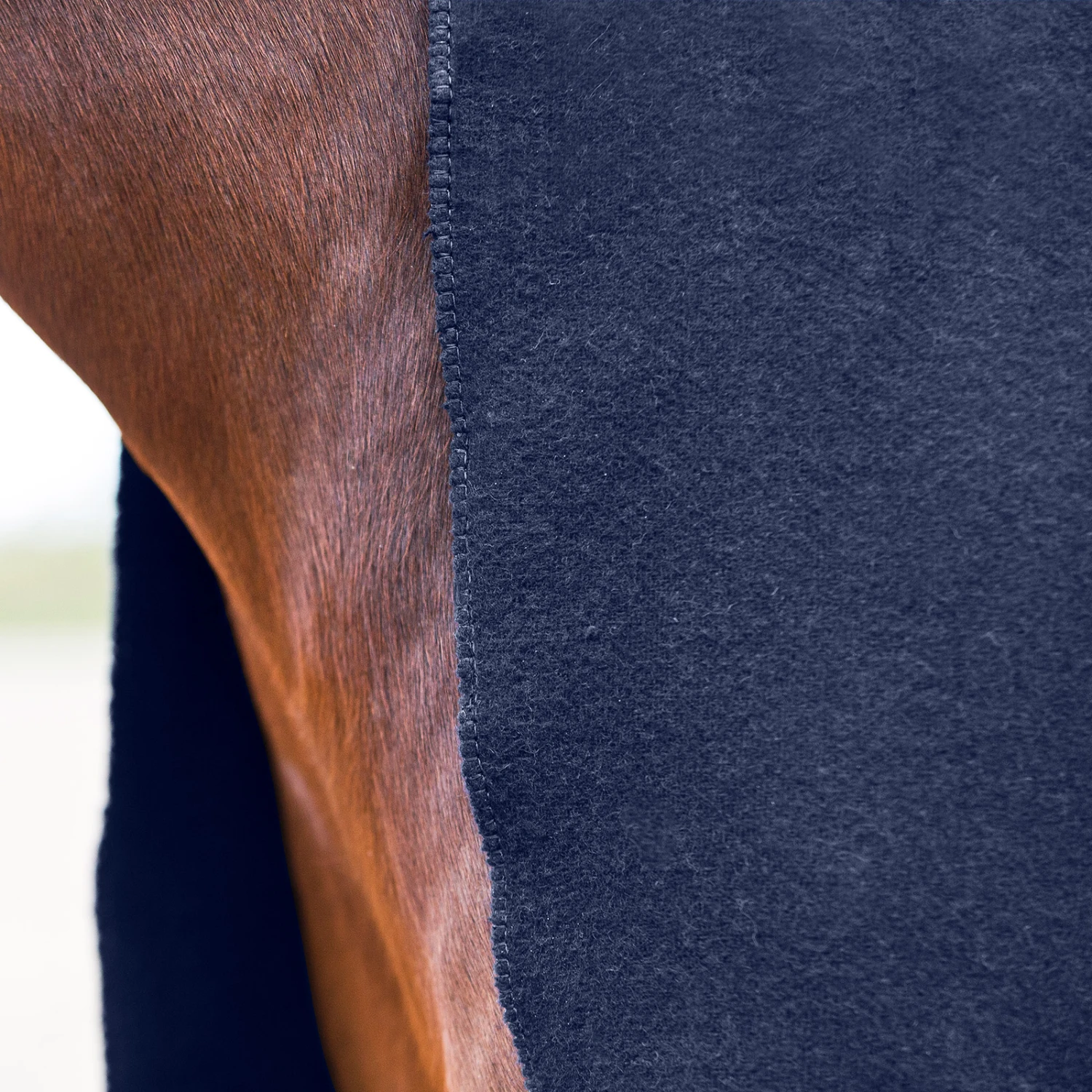 Horze Vail Eckige Woll-Abschwitzdecke – Bild 3