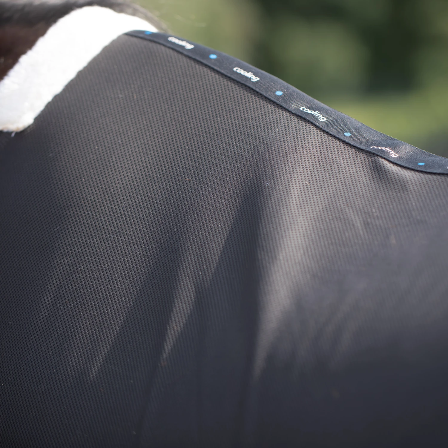 Horze Kühlende Netzdecke – Bild 11