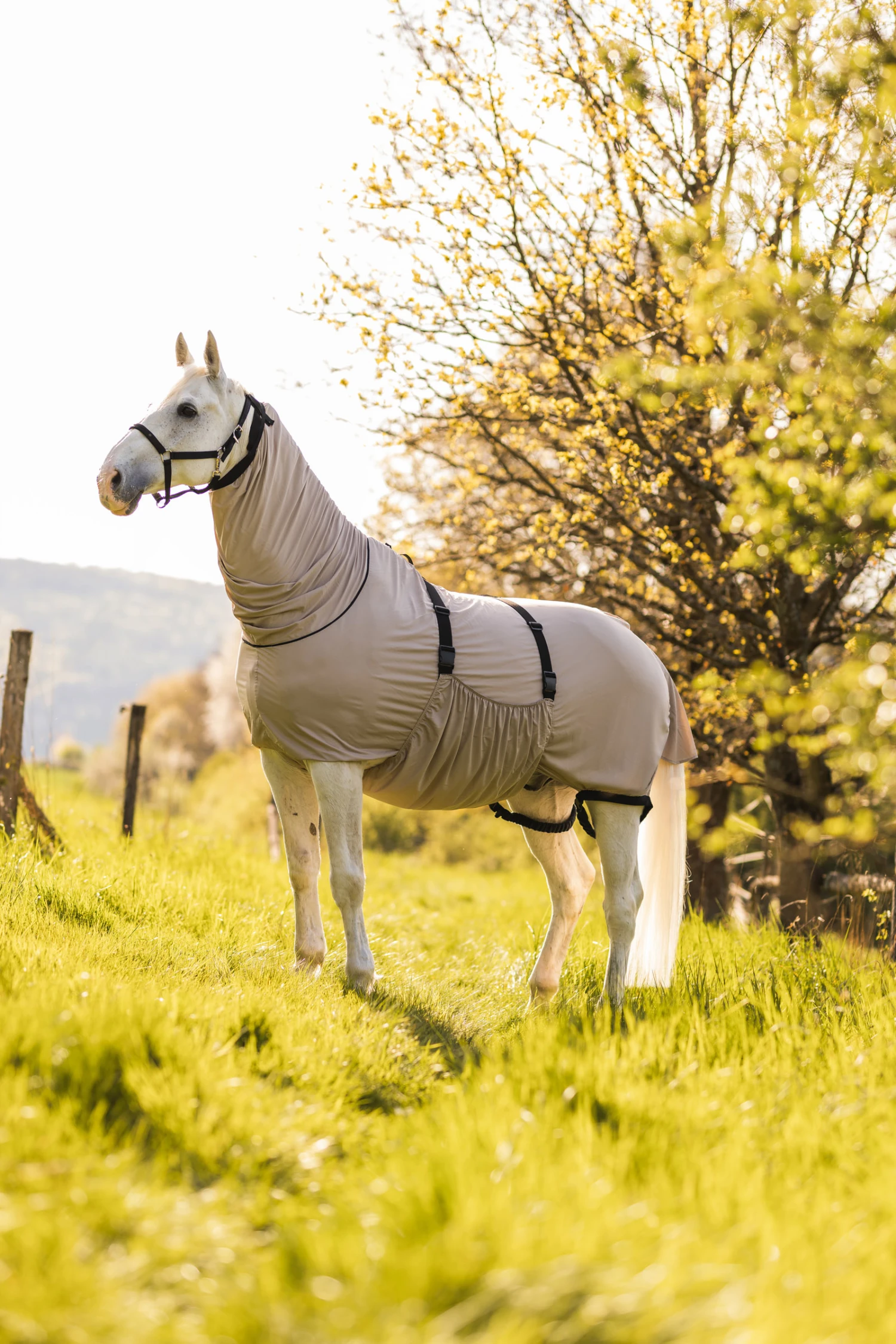 Horze Ekzemerdecke – Bild 6