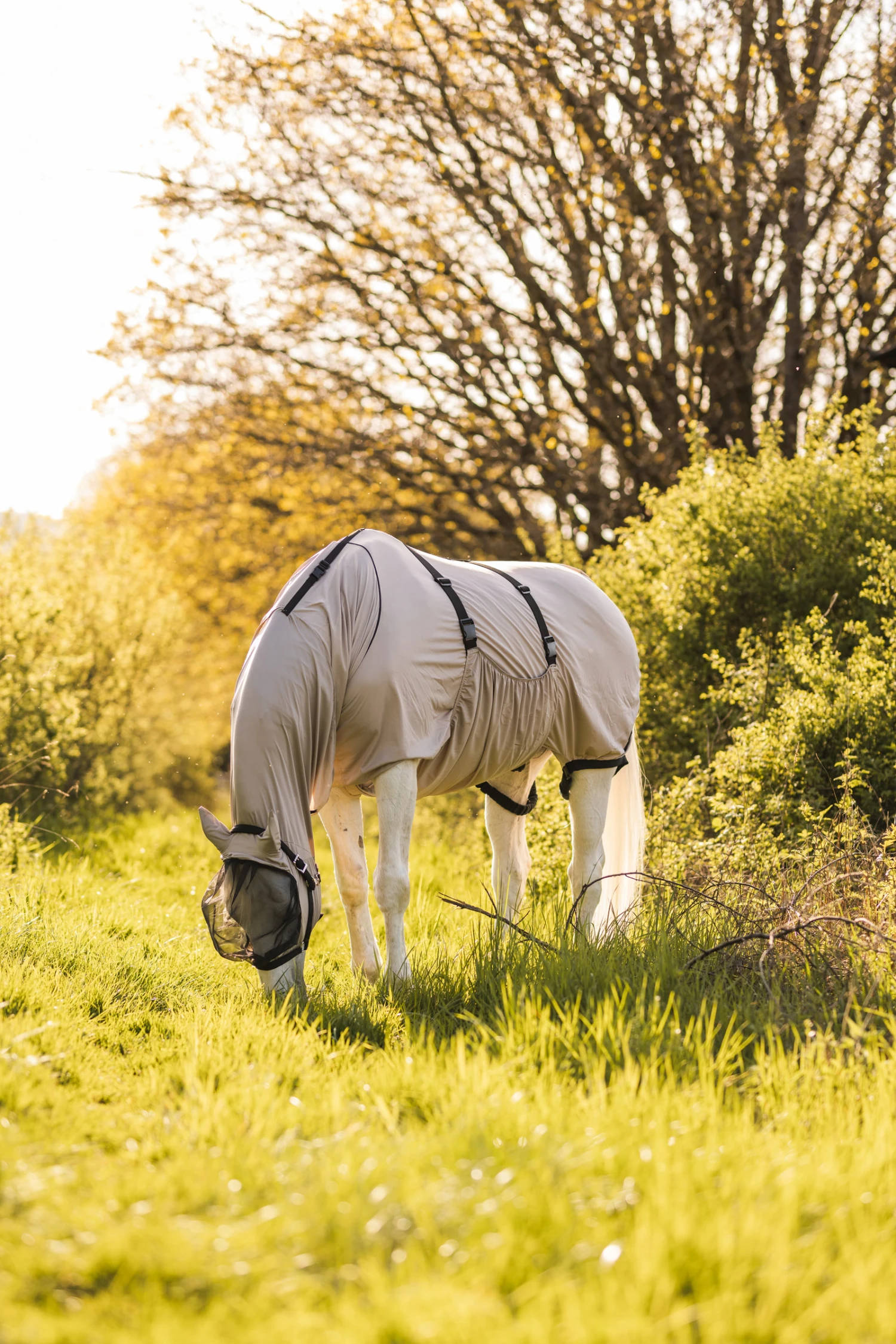 Horze Ekzemerdecke – Bild 7