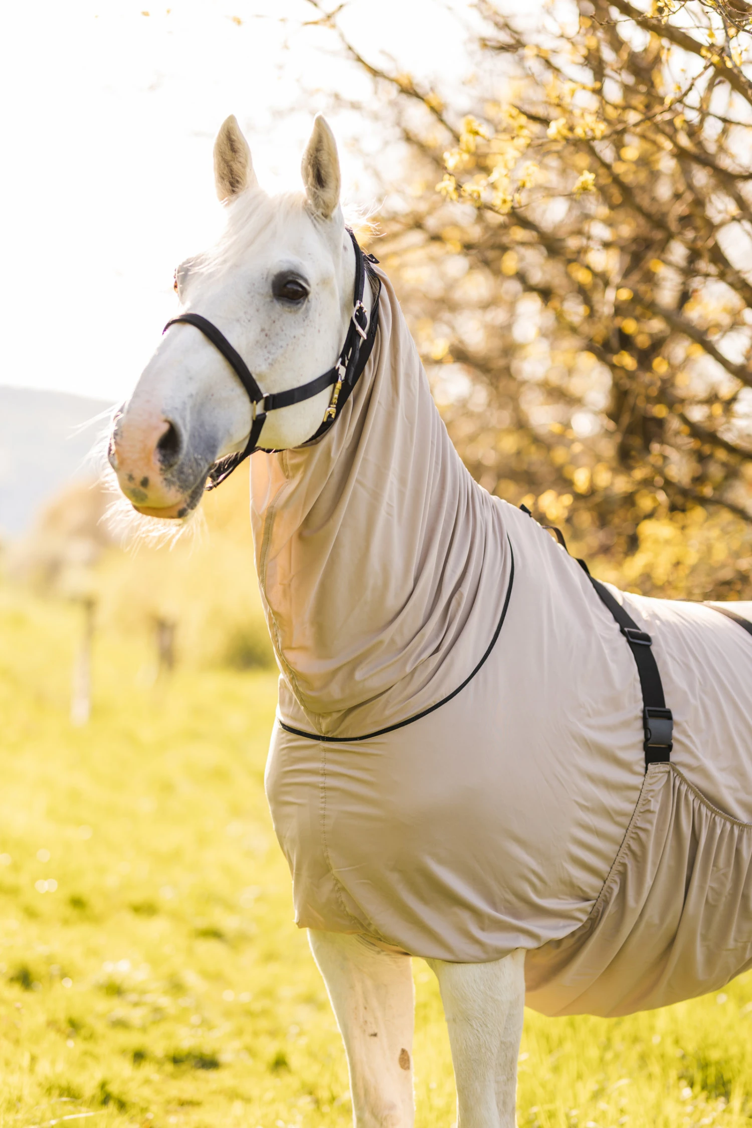 Horze Ekzemerdecke – Bild 8