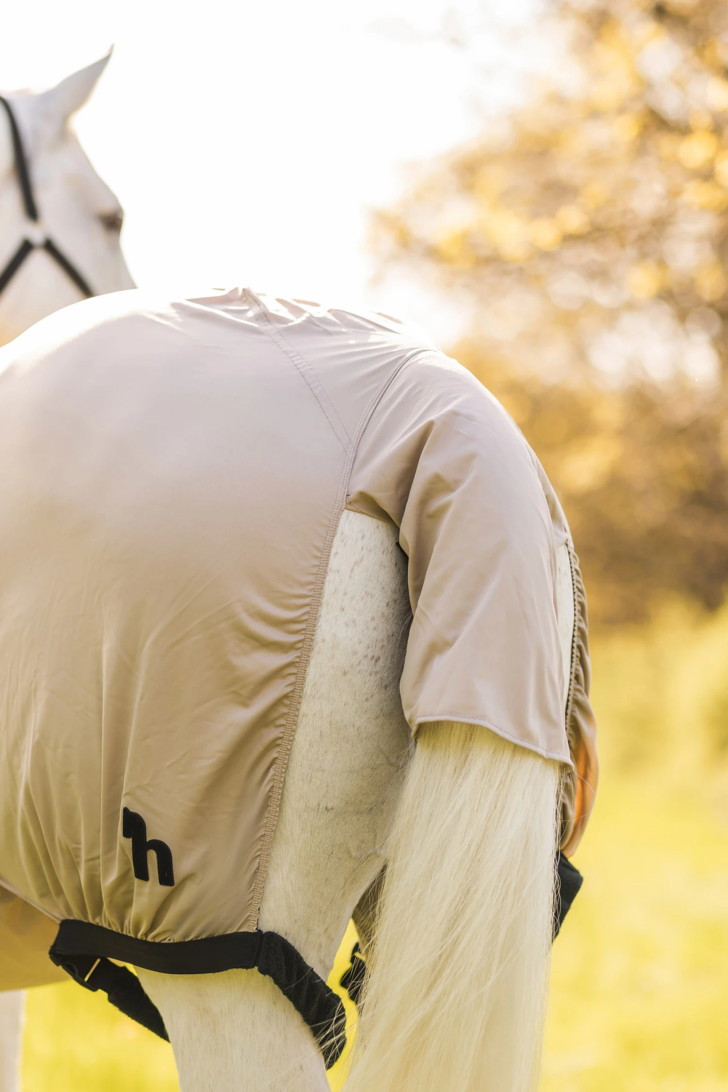 Horze Ekzemerdecke – Bild 10