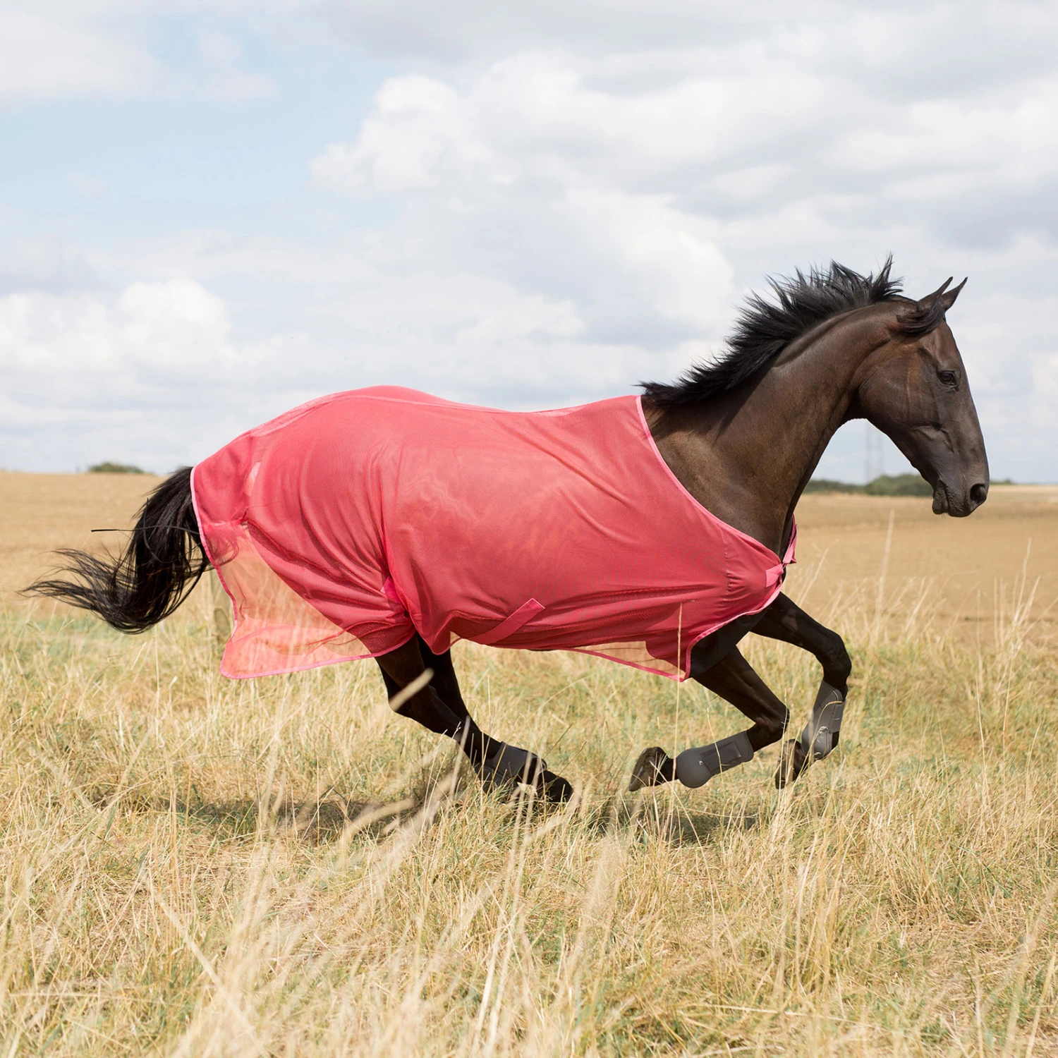 Horze Orleans Fliegendecke – Bild 13