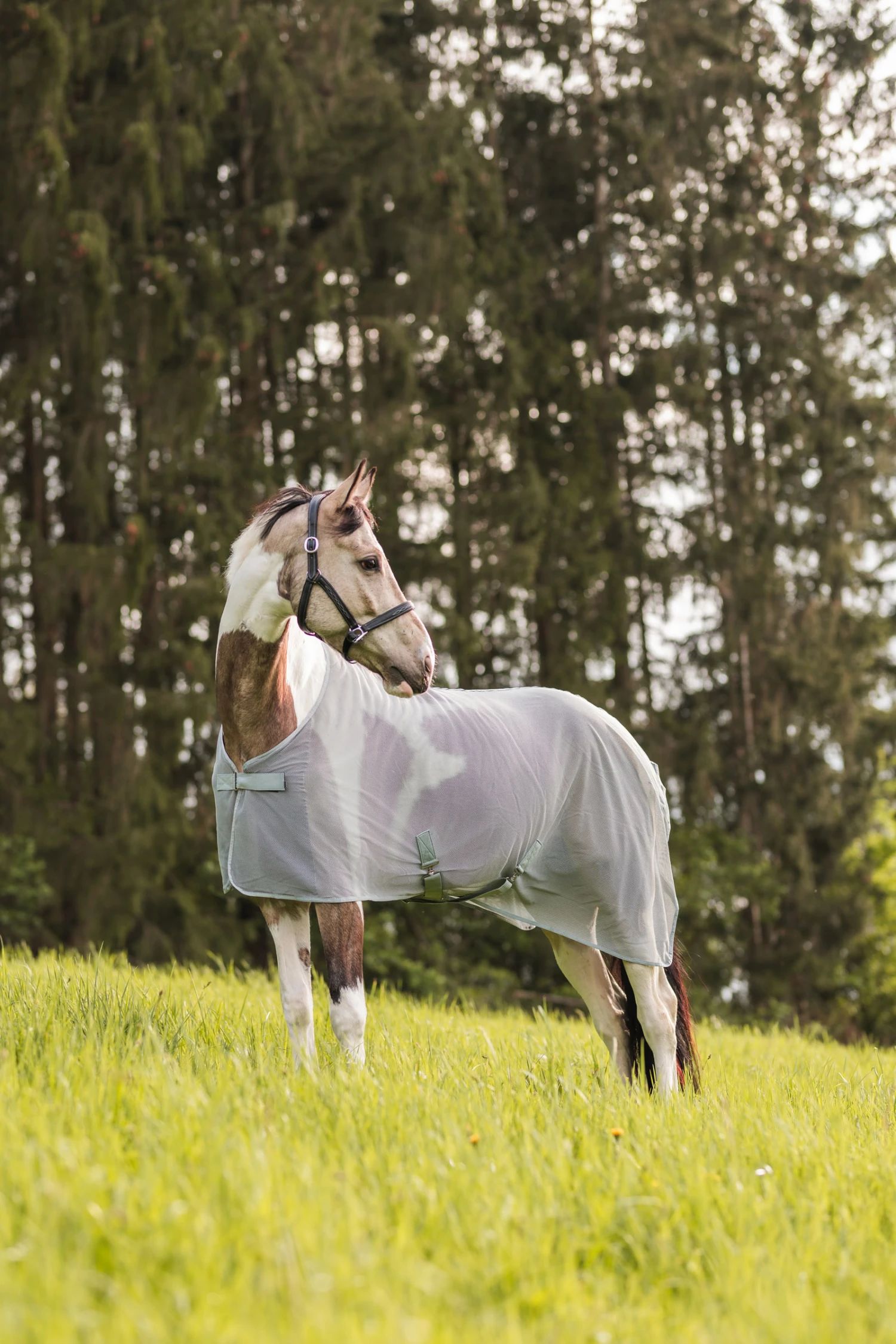 Horze Orleans Fliegendecke – Bild 7