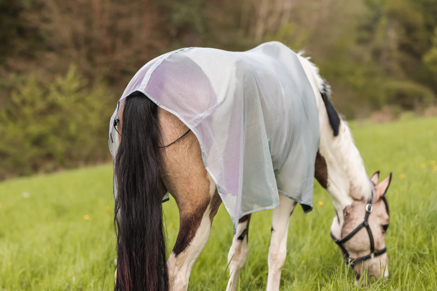 Horze Orleans Fliegendecke – Bild 12