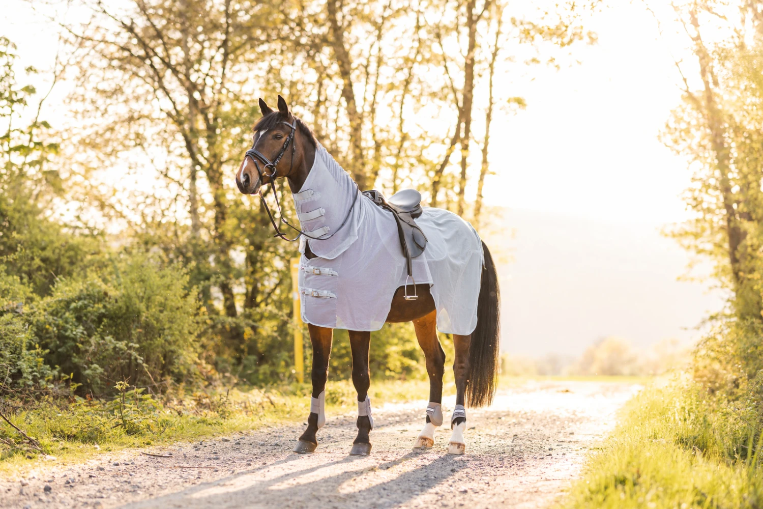 Horze Orleans Fliegen-Ausreitdecke – Bild 9