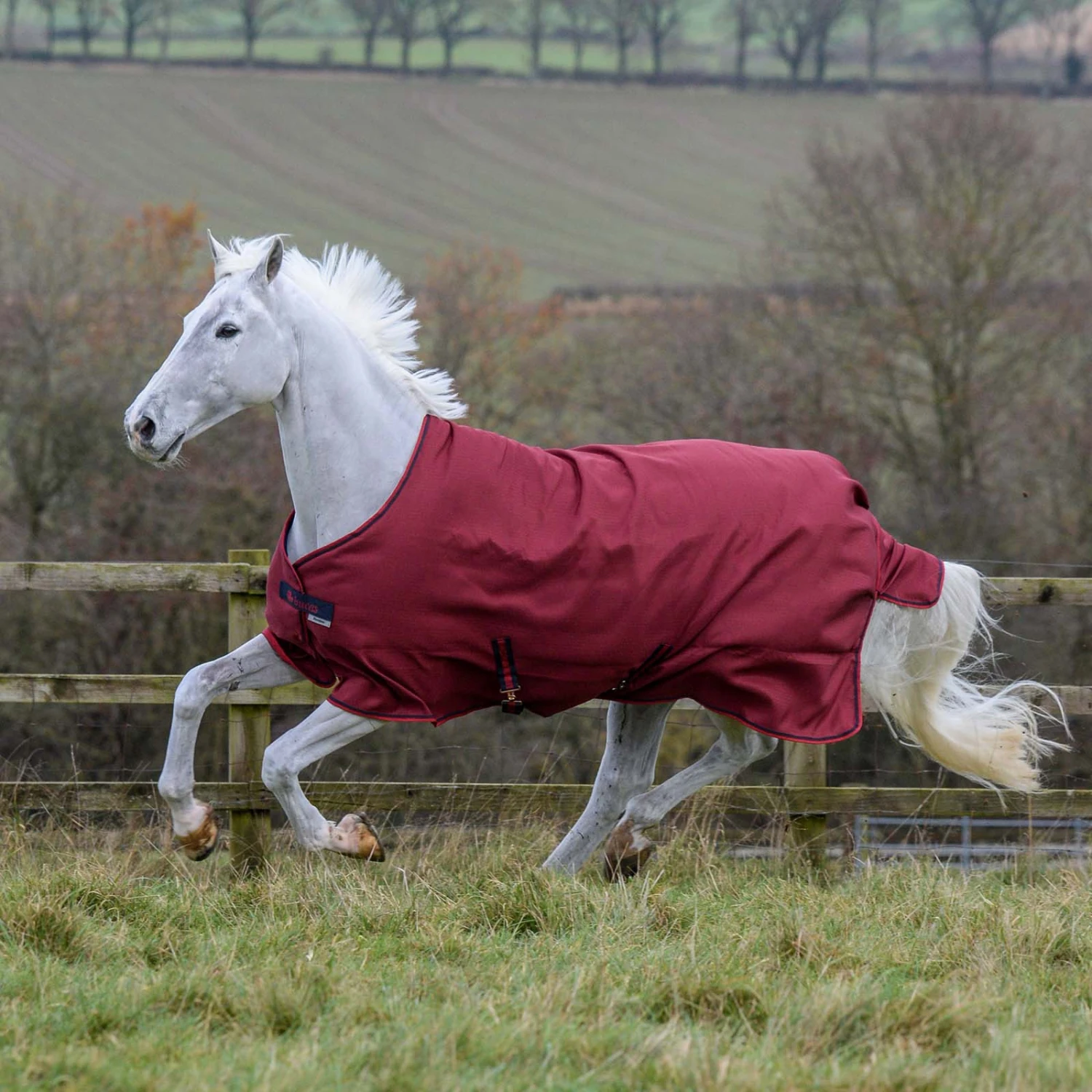 Bucas Freedom Turnout Light Pony Regdendecke, 0g – Bild 6