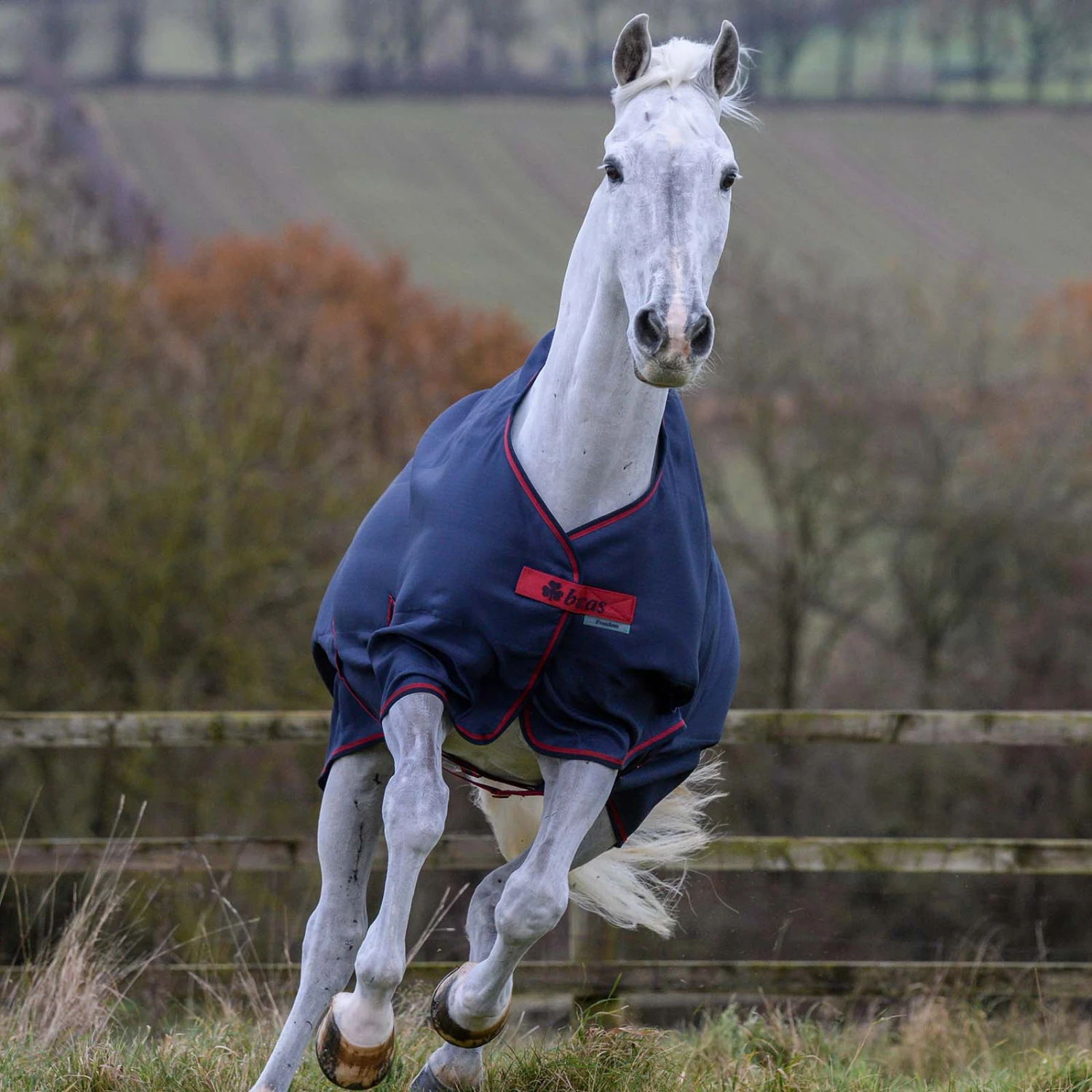 Bucas Freedom Turnout Light Pony Regdendecke, 0g – Bild 8