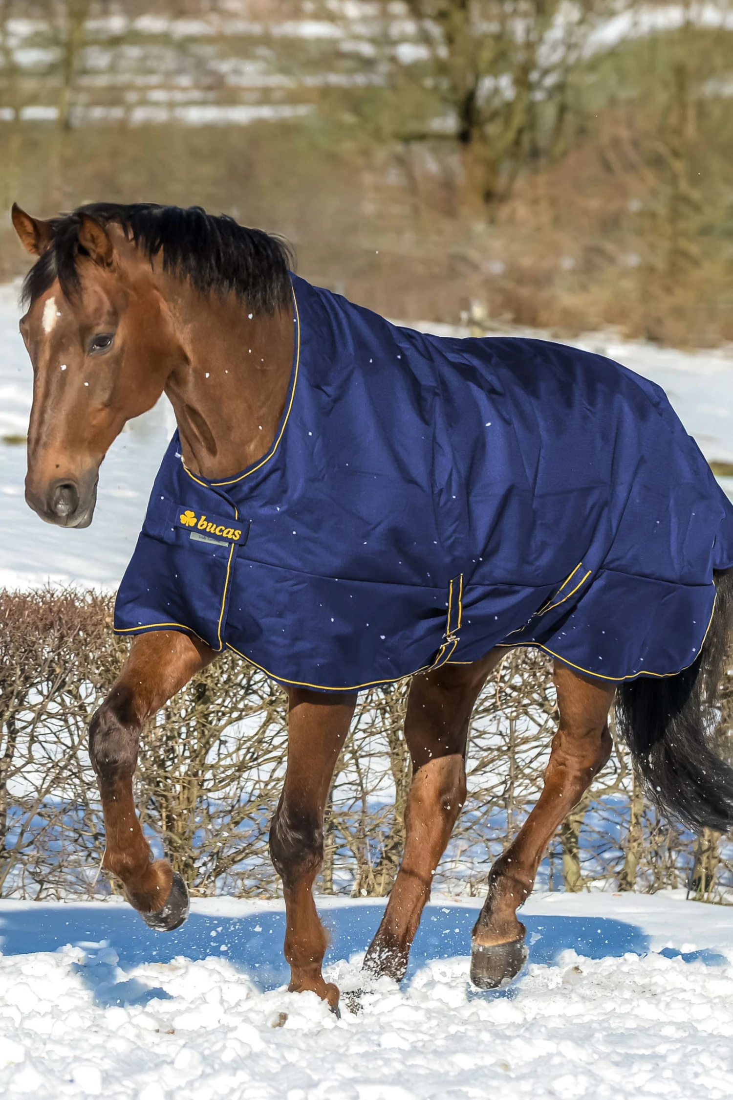 Bucas Irish Turnout Regendecke Mit Hohem Hals, 50g – Bild 2