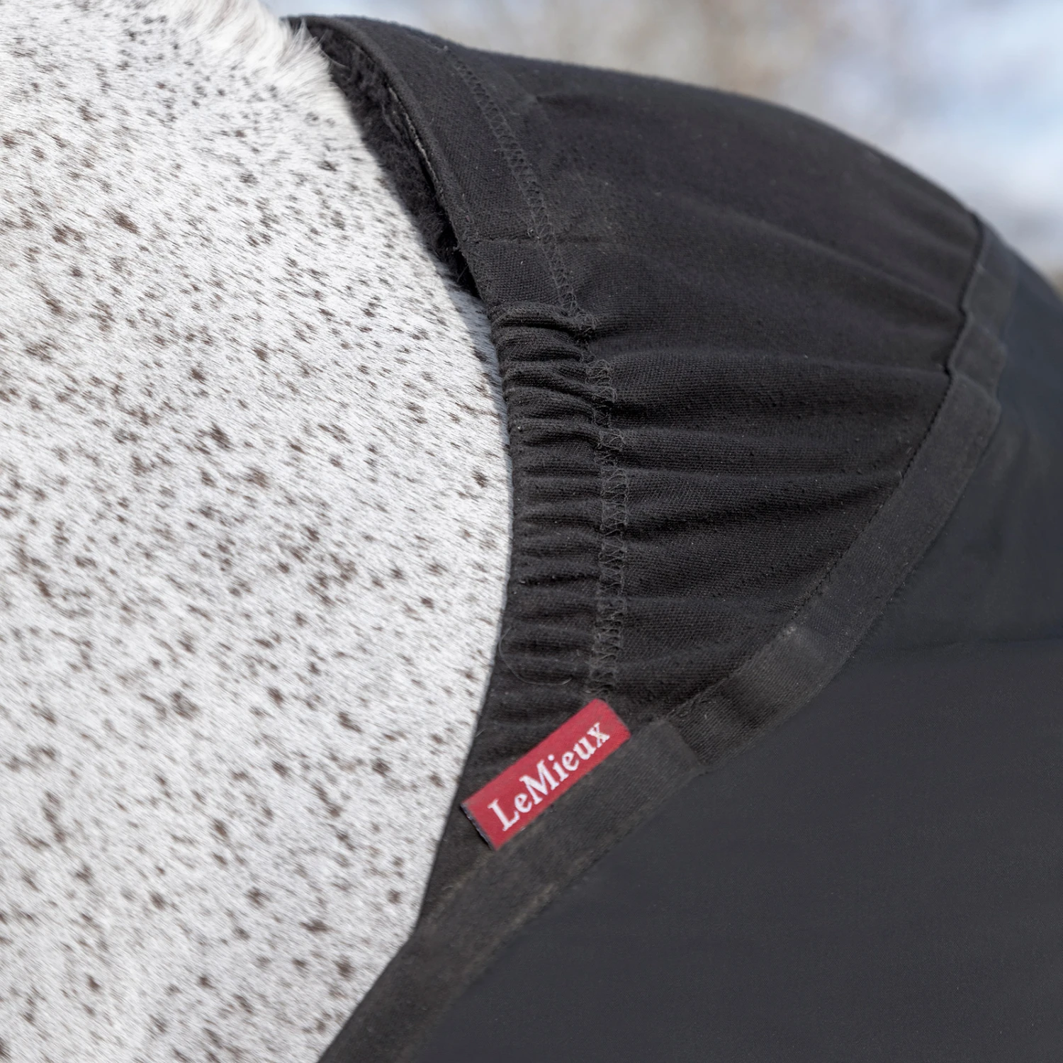 LeMieux Schulterschutz Nichtreibend – Bild 3