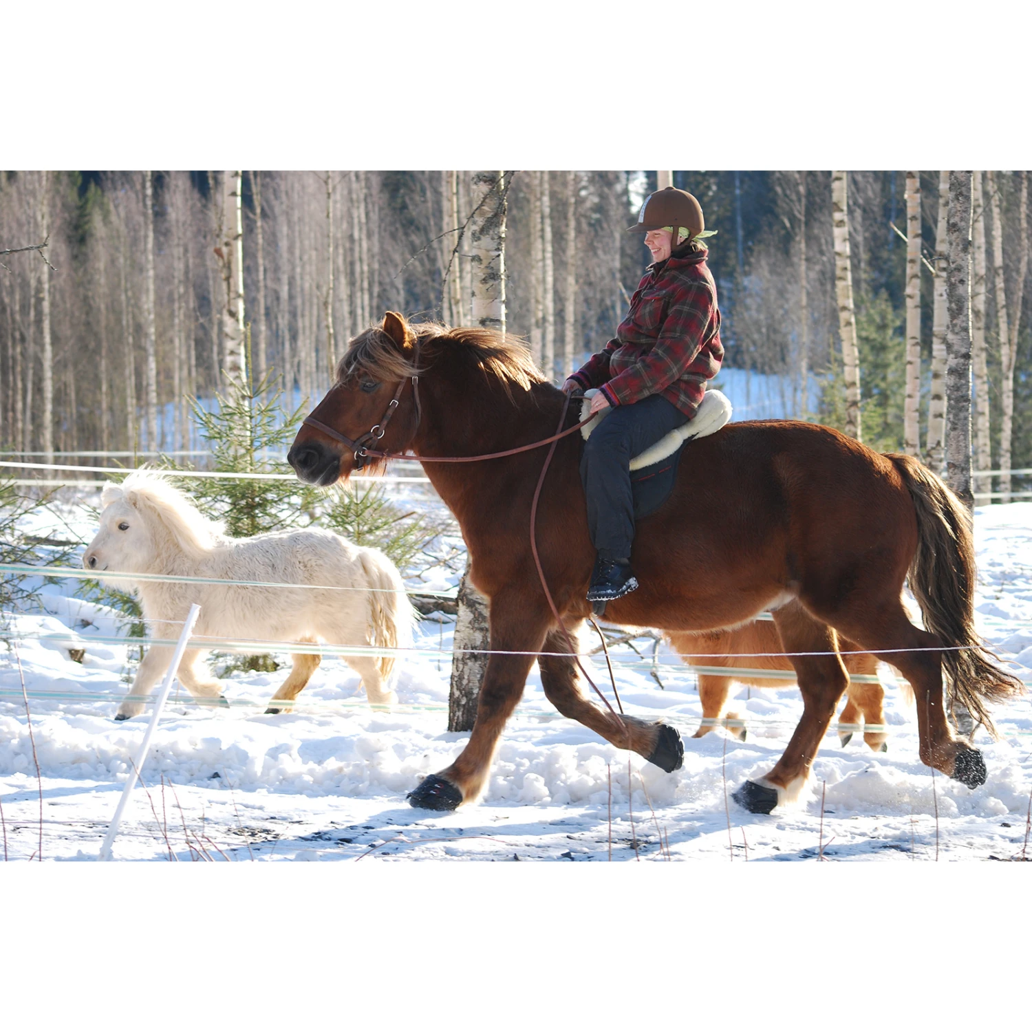 F.R.A. Cavallo Hufschuh Simple Slim – Bild 2