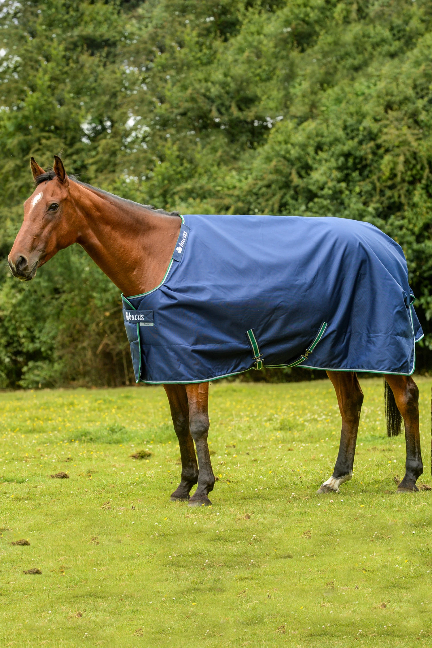 Bucas Smartex Rain Regendecke Mit Abschwitzfunktion, 0g – Bild 2