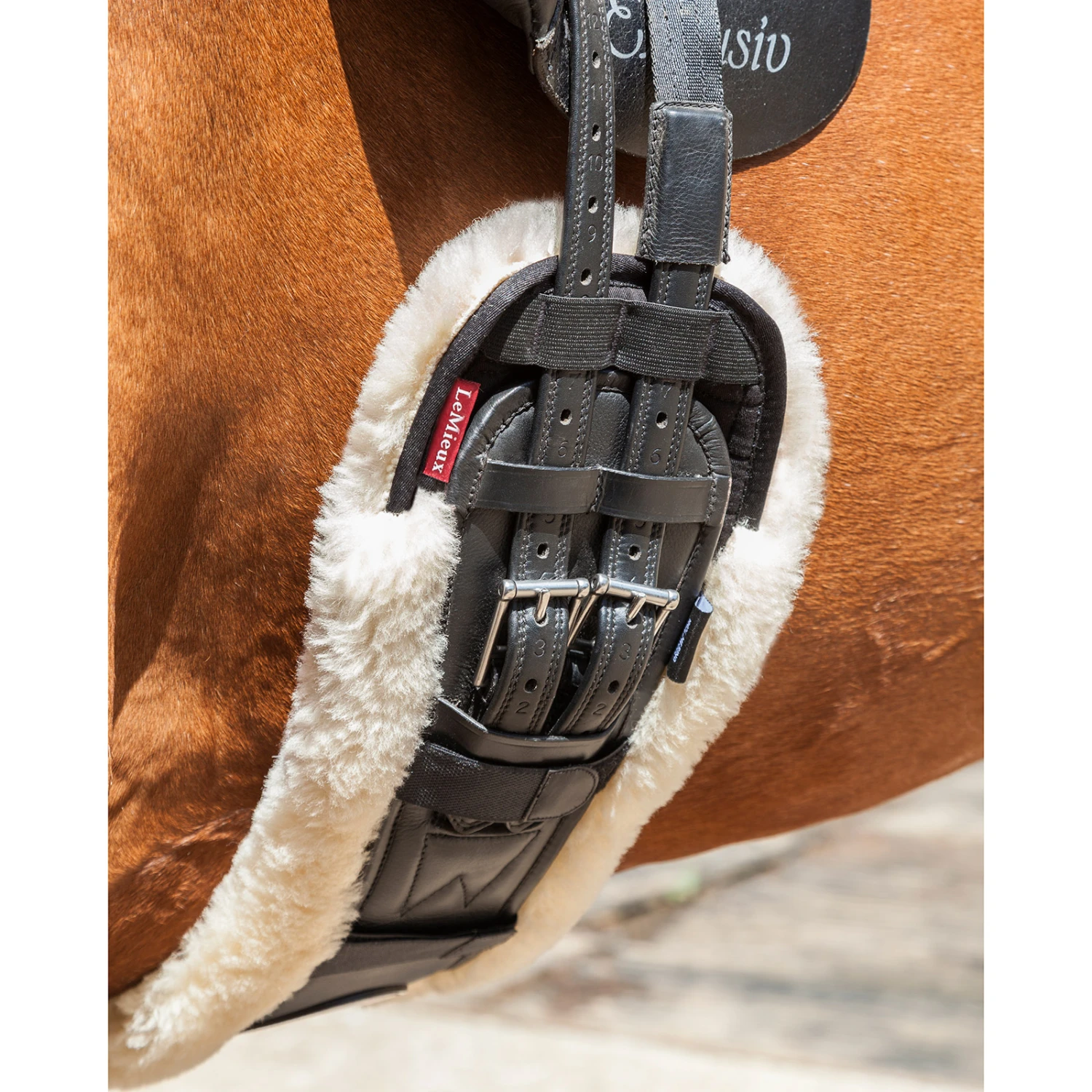 Lemieux Dressurgurt-Überzug – Bild 5