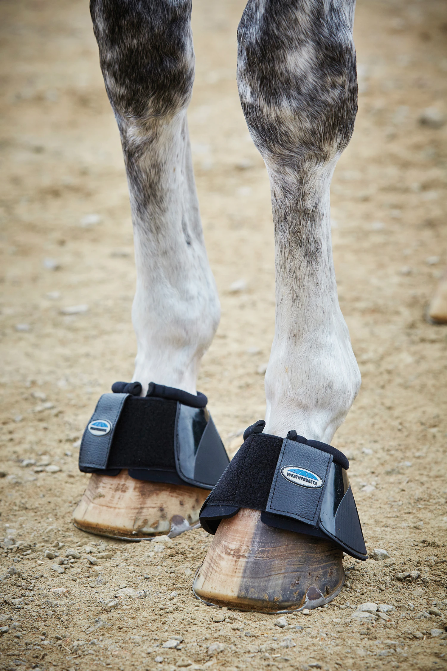 Weatherbeeta Impact Hufglocken – Bild 2