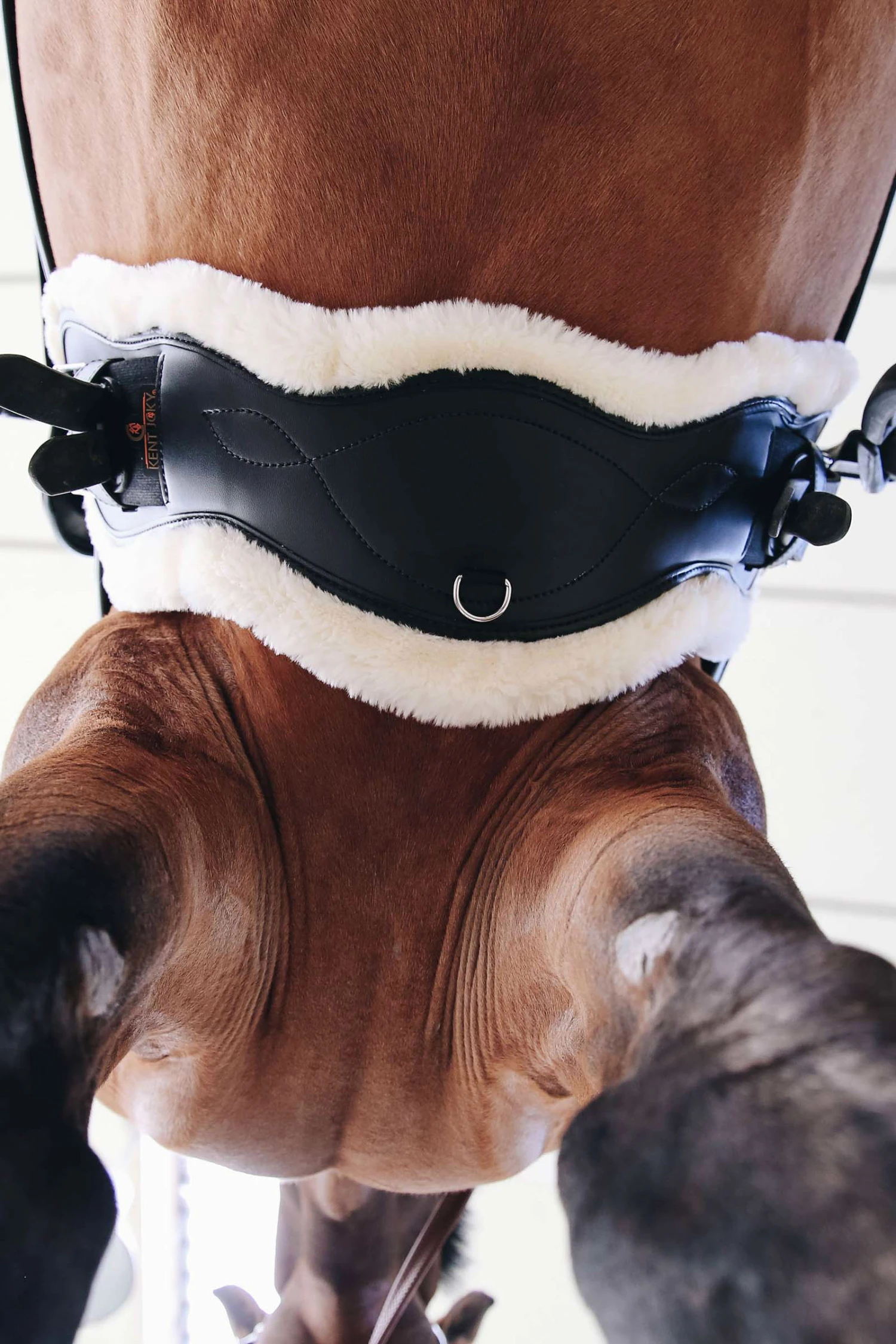 Kentucky Horsewear Lederkurzgurt Sheepskin Dressage – Bild 5