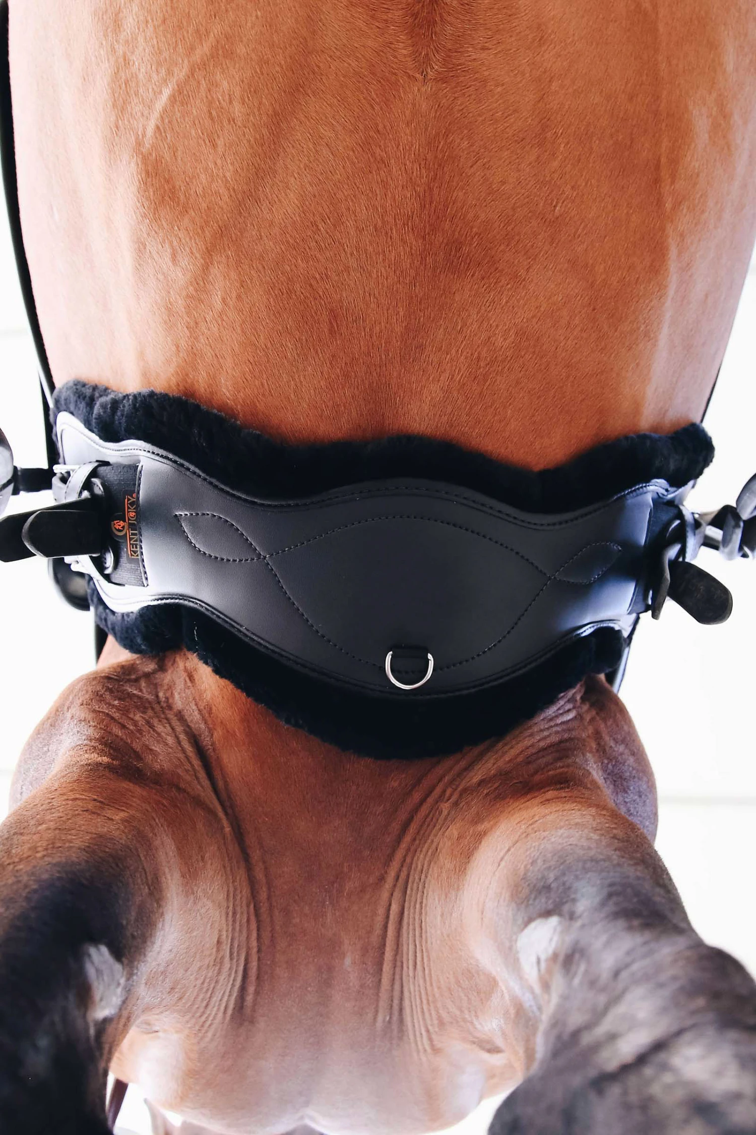 Kentucky Horsewear Lederkurzgurt Sheepskin Dressage – Bild 6