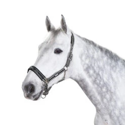 Eskadron Halfter Dornschnalle