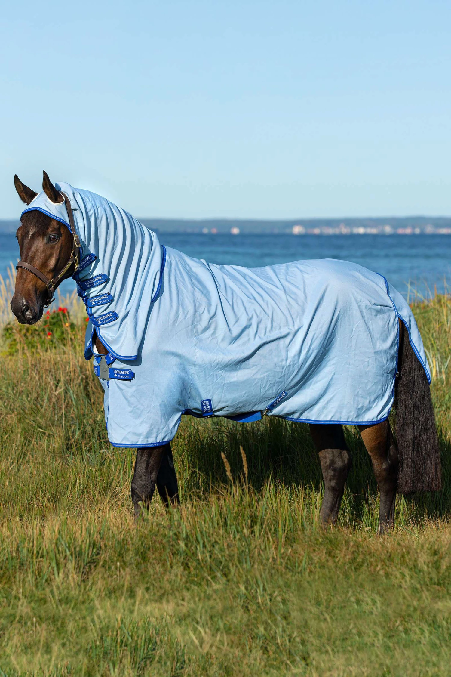 Horseware Amigo Hoody Exzemer Decke Mit Festem Halsteil
