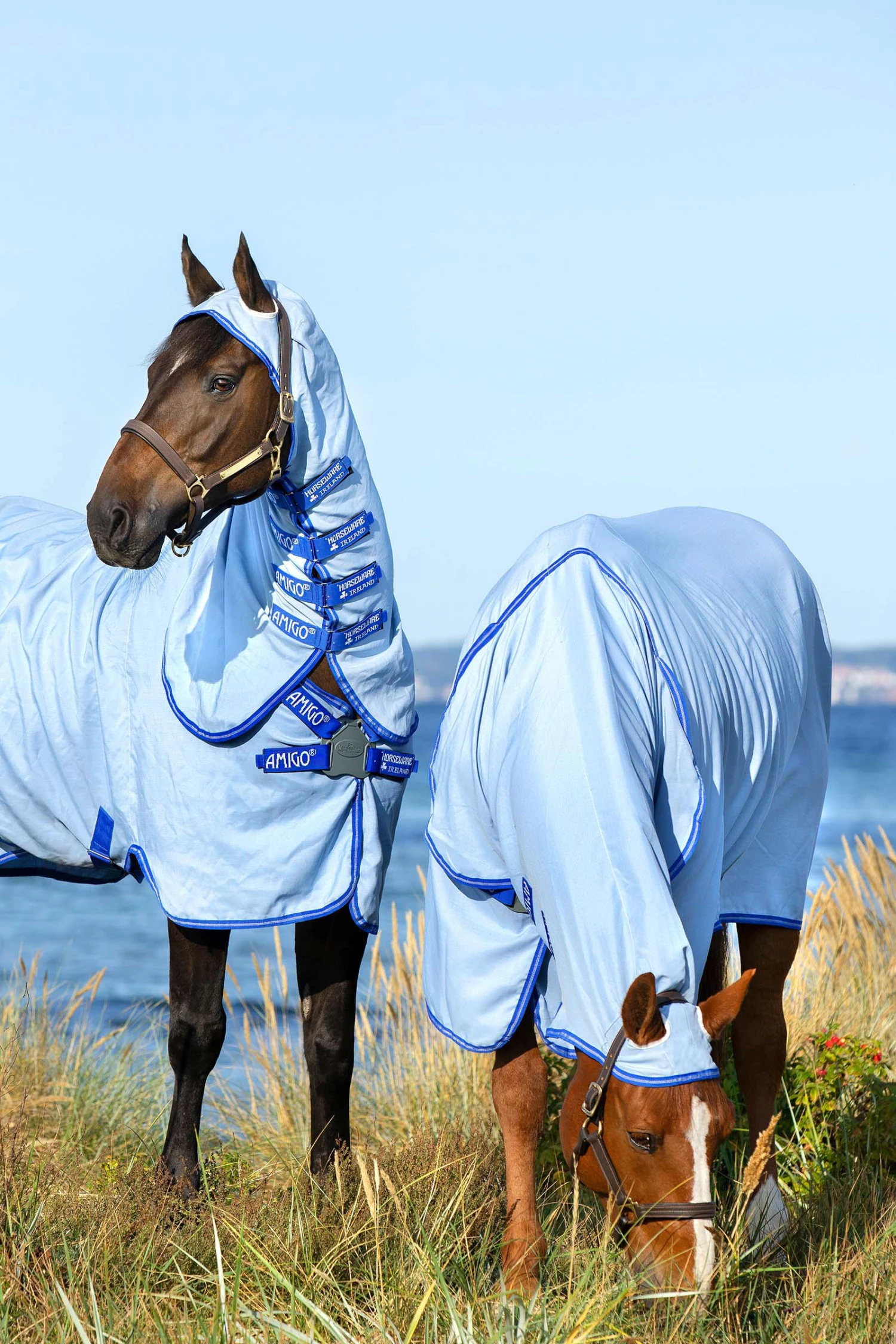 Horseware Amigo Hoody Exzemer Decke Mit Festem Halsteil – Bild 3