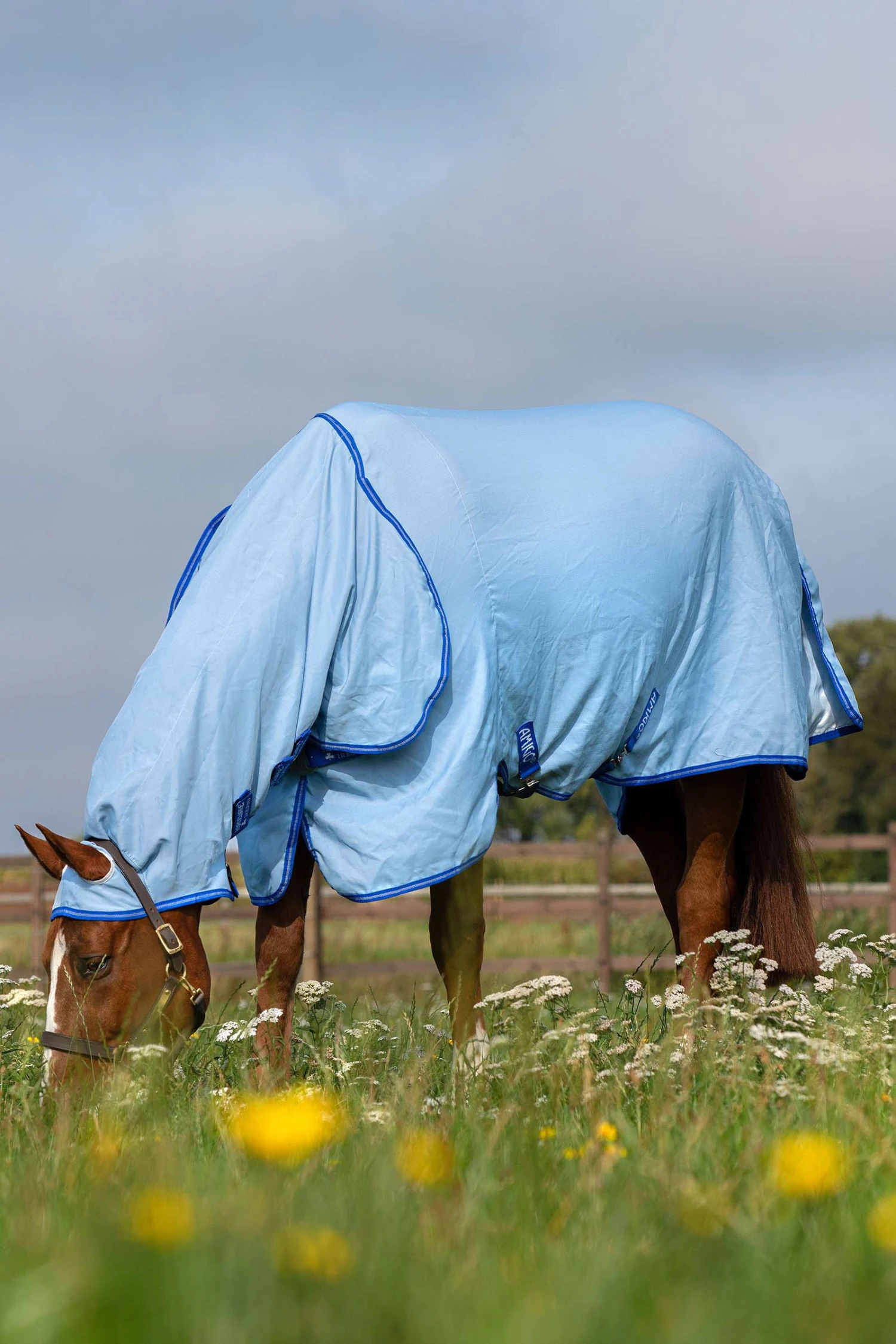 Horseware Amigo Hoody Exzemer Decke Mit Festem Halsteil – Bild 4